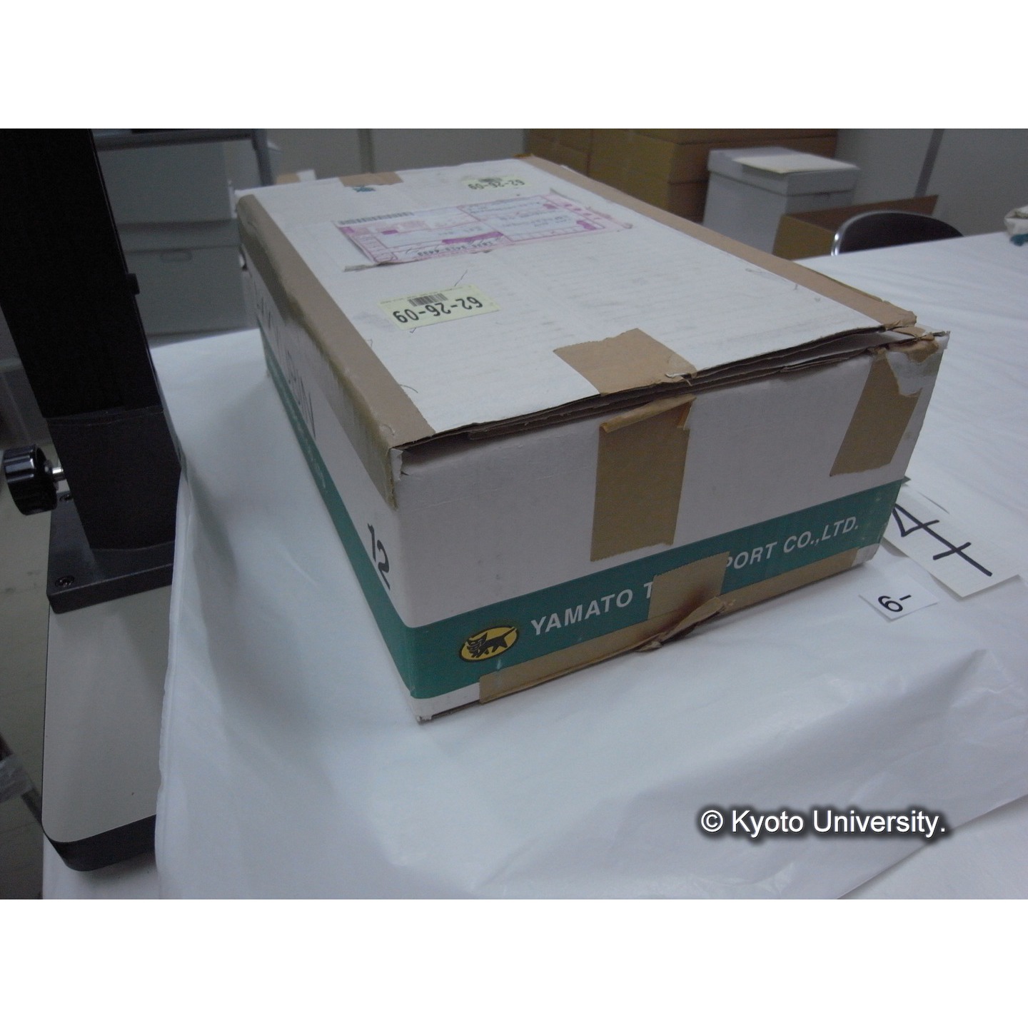 プランクトン標本調査カード (4)