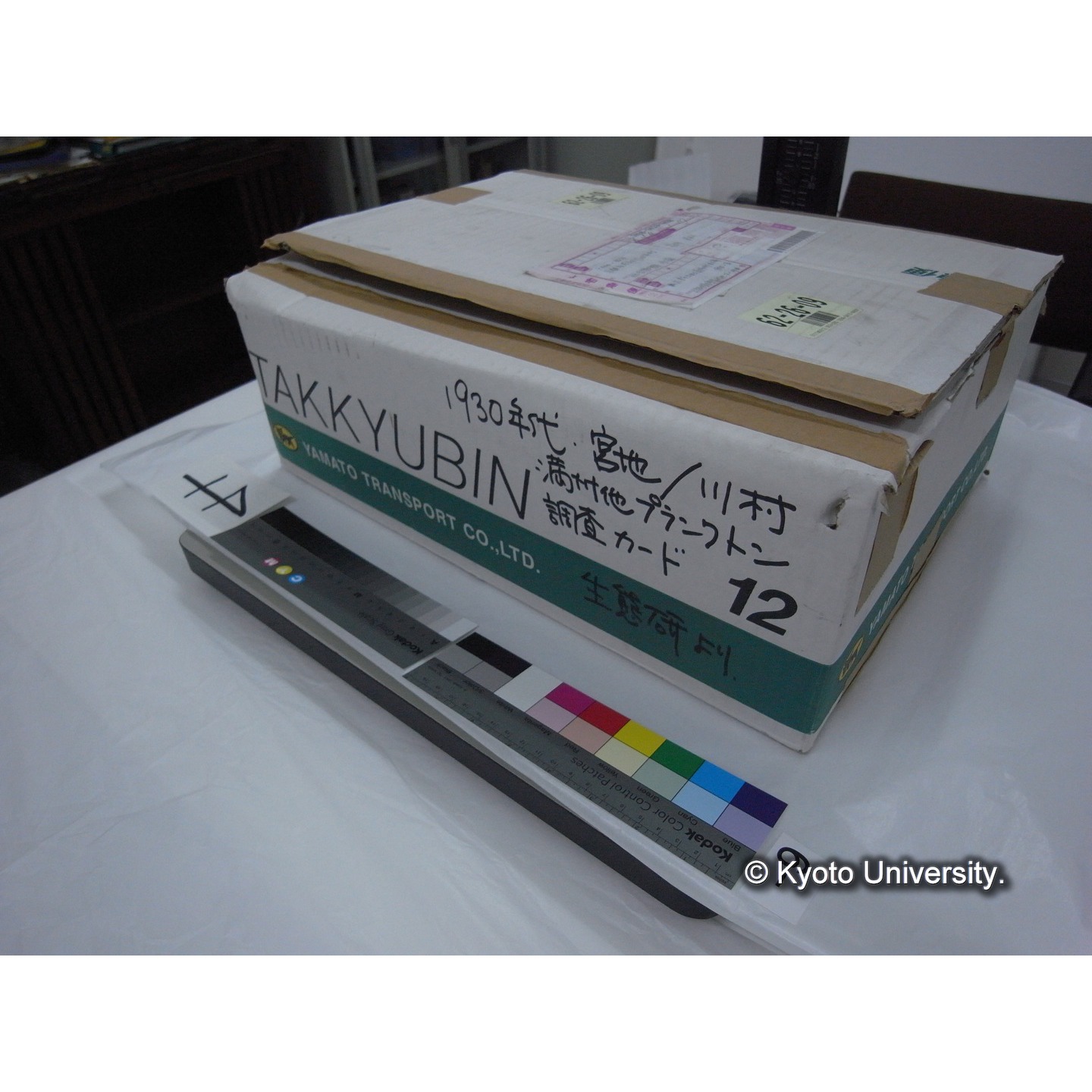 プランクトン標本調査カード (5)