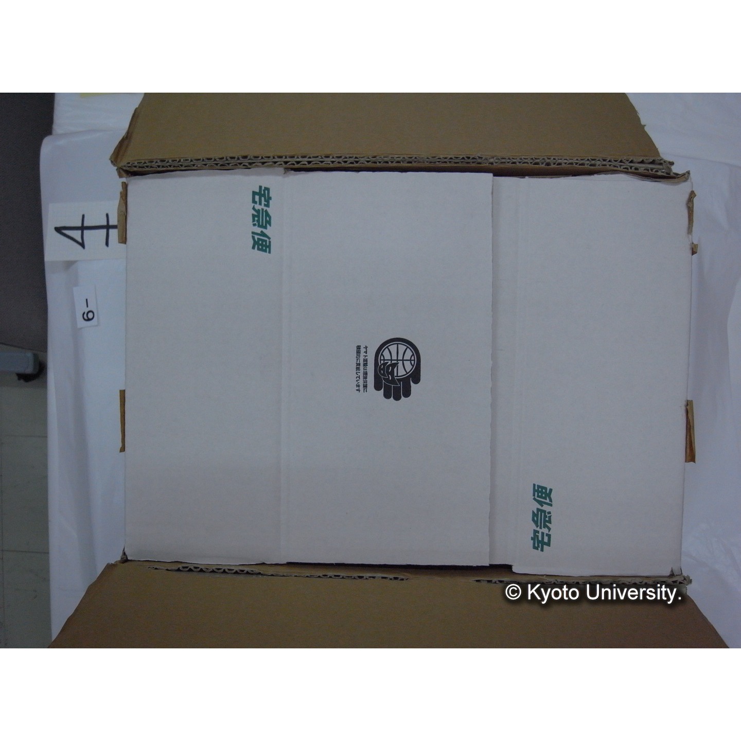 プランクトン標本調査カード (6)