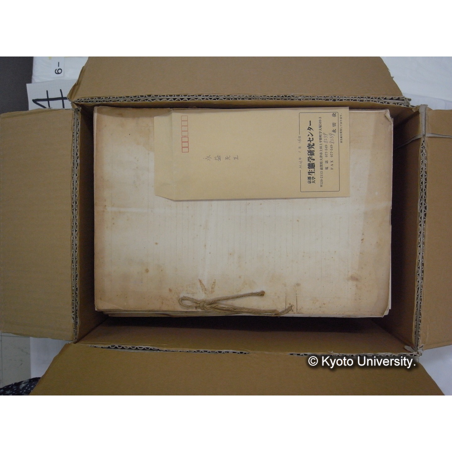 プランクトン標本調査カード (7)