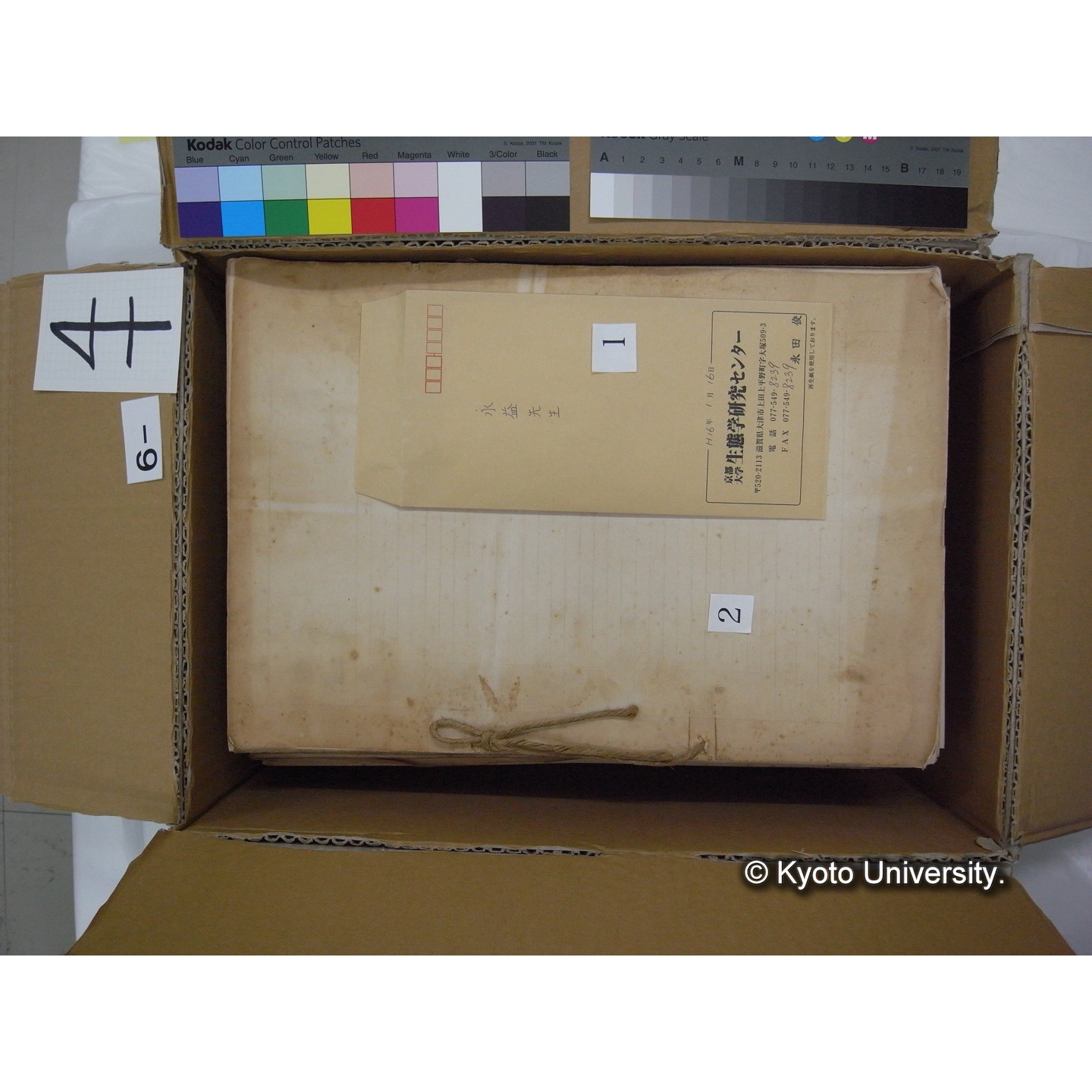 プランクトン標本調査カード (8)