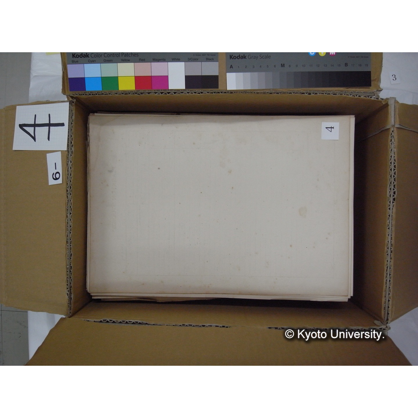 プランクトン標本調査カード (10)