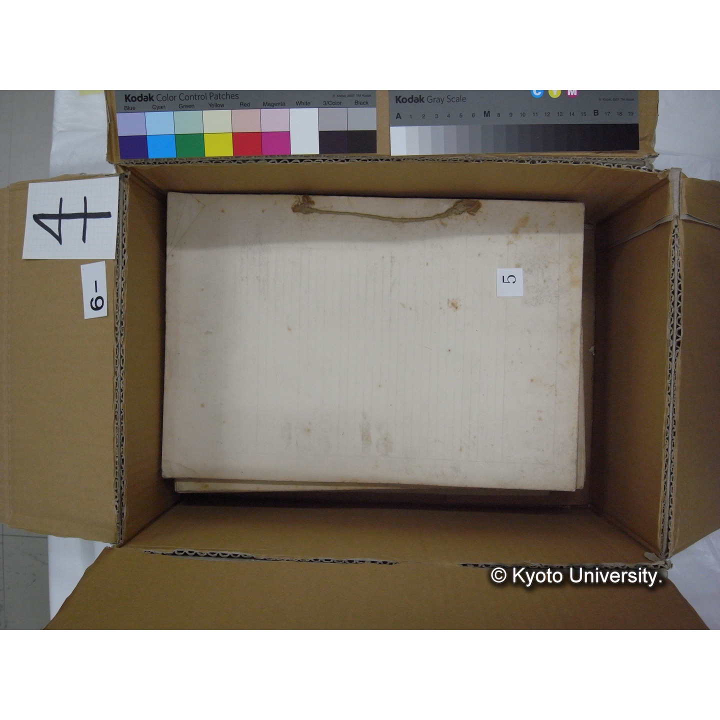 プランクトン標本調査カード (11)