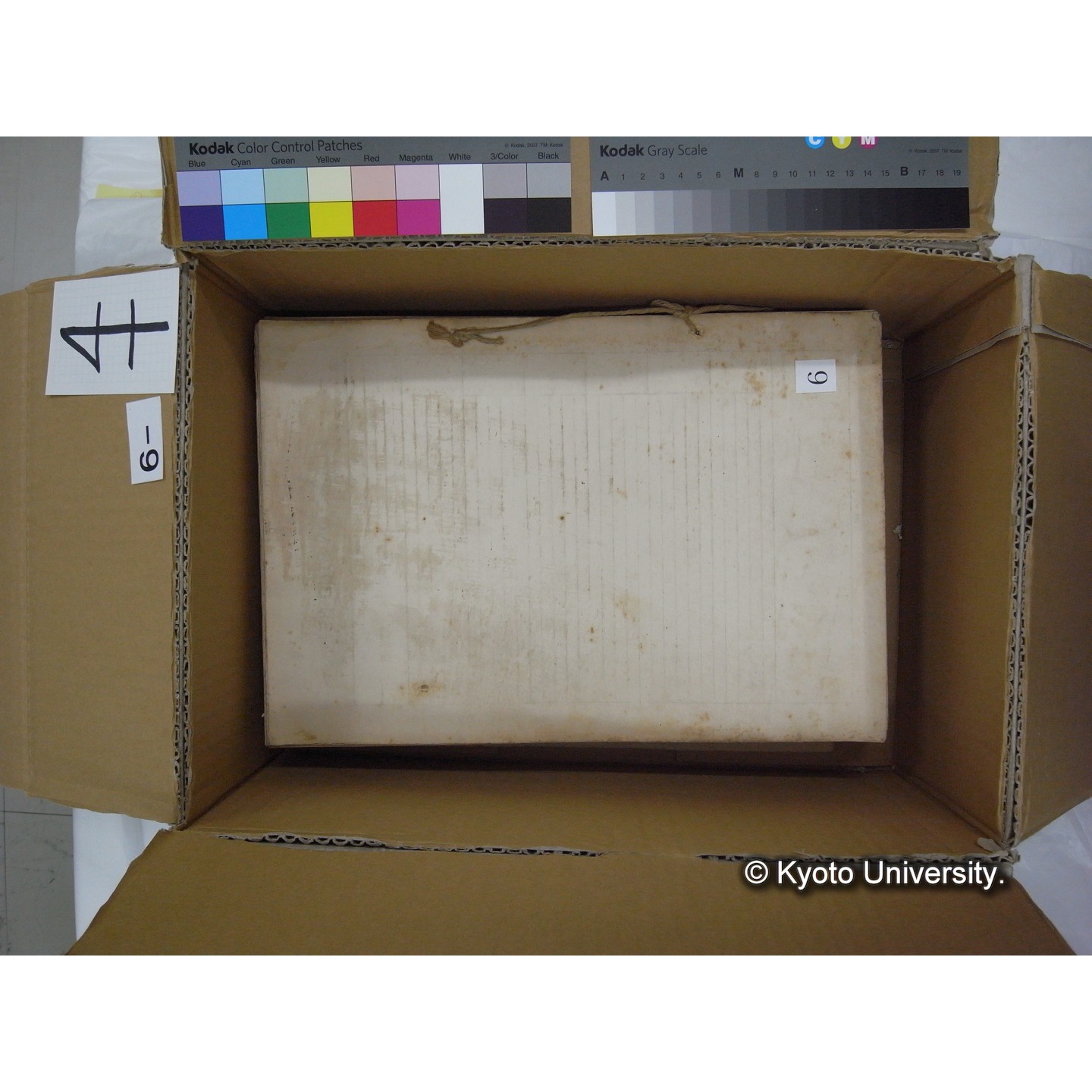 プランクトン標本調査カード (12)