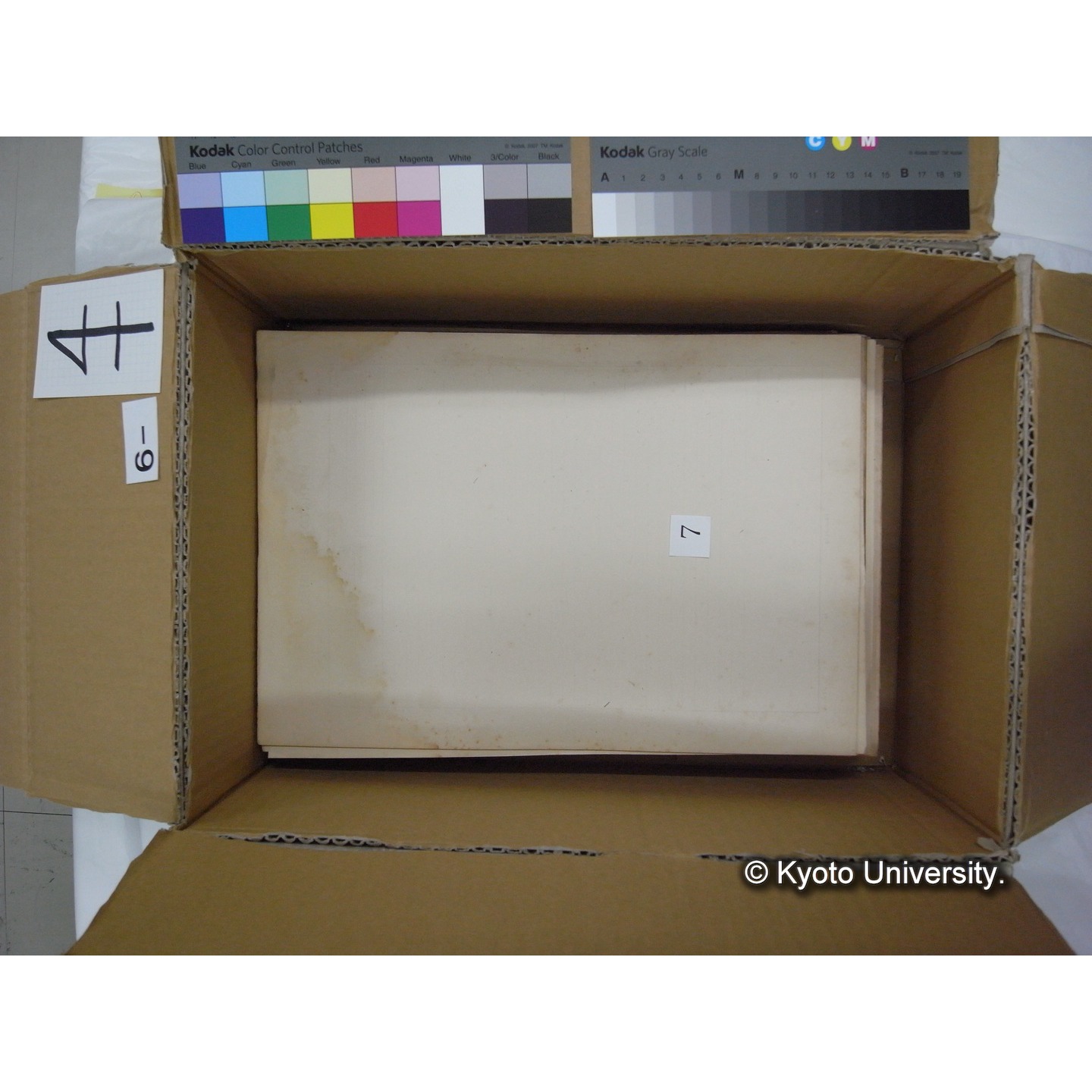 プランクトン標本調査カード (13)