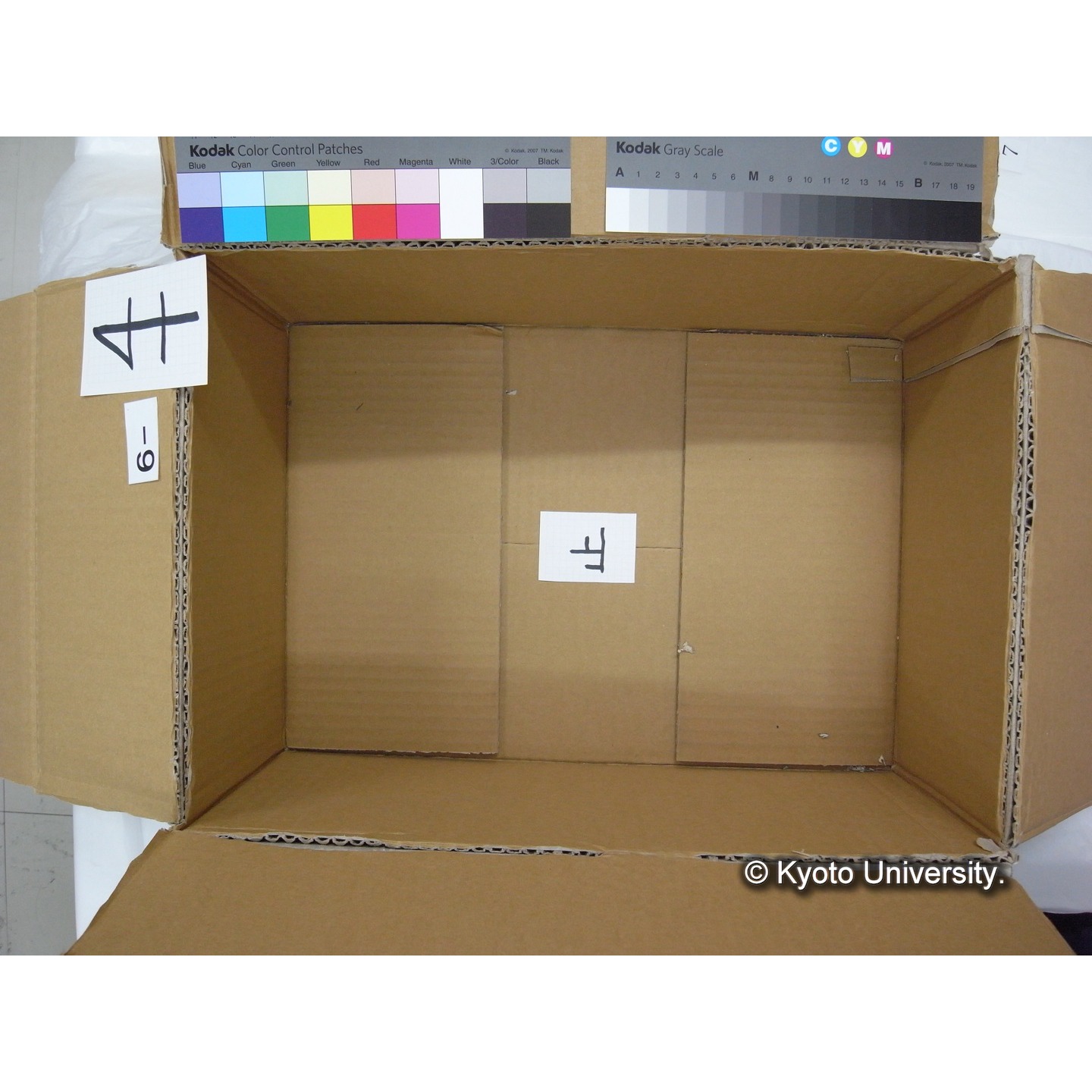 プランクトン標本調査カード (14)