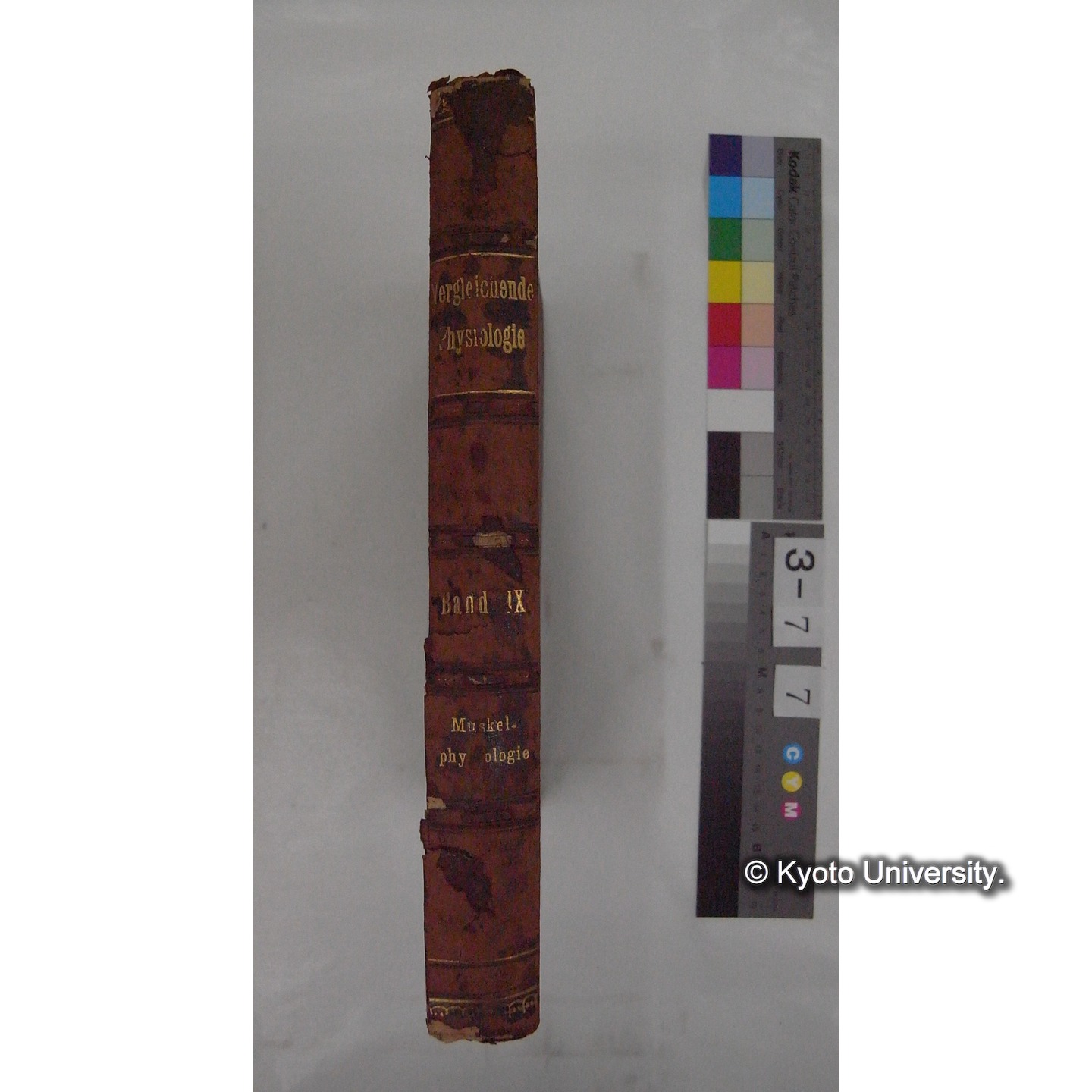 Vergleichende Physiologie (Band9: Muskle-physiologie) (比較生理学 巻9 筋肉生理学) [翻訳ノート製本か] (1)