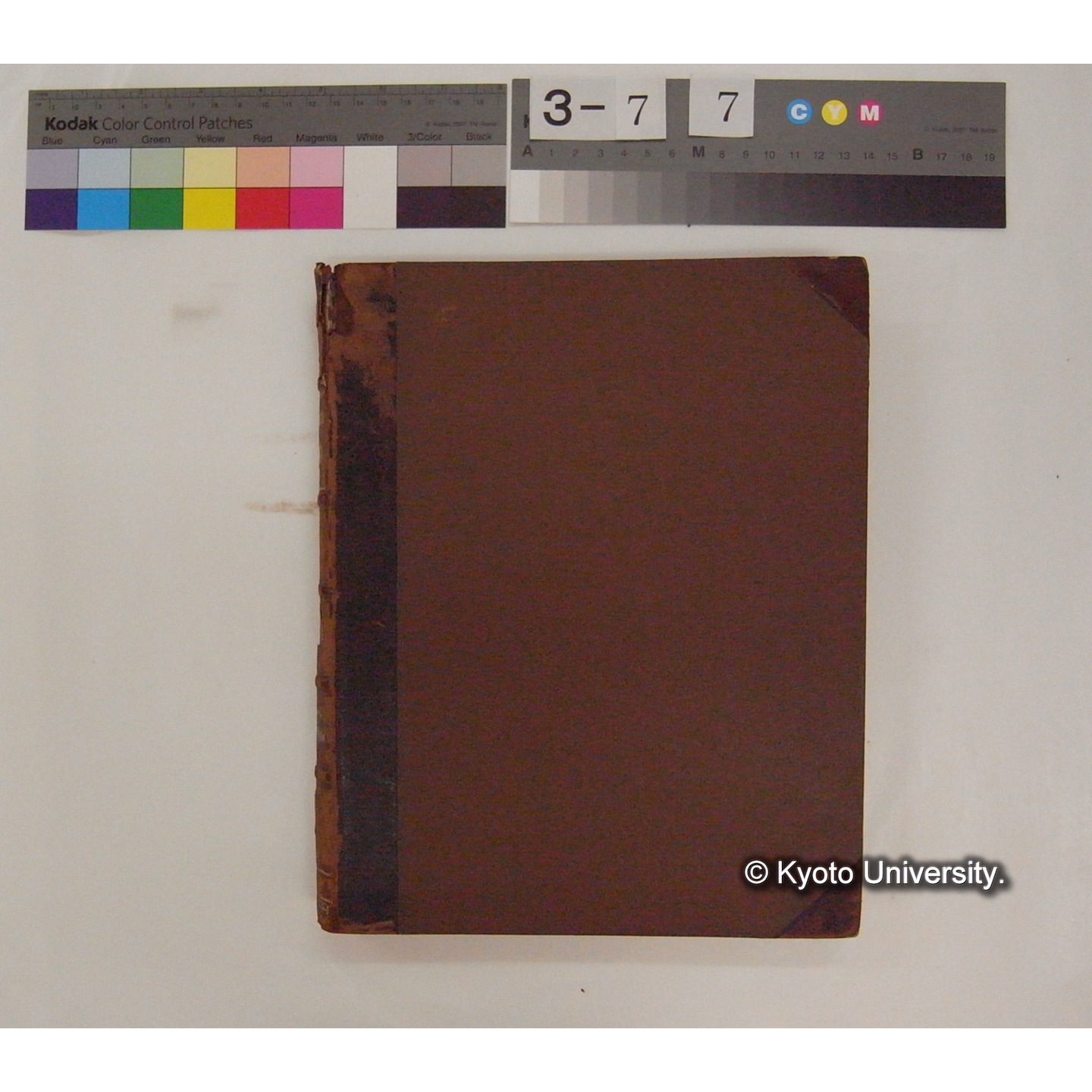 Vergleichende Physiologie (Band9: Muskle-physiologie) (比較生理学 巻9 筋肉生理学) [翻訳ノート製本か] (2)