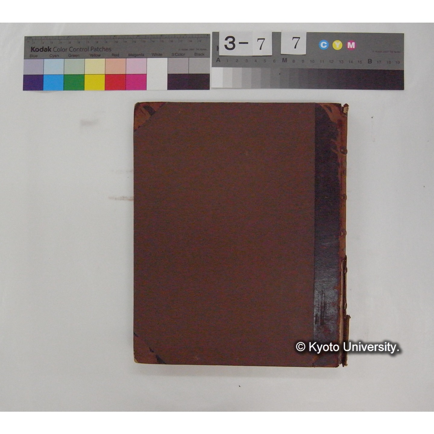 Vergleichende Physiologie (Band9: Muskle-physiologie) (比較生理学 巻9 筋肉生理学) [翻訳ノート製本か] (3)