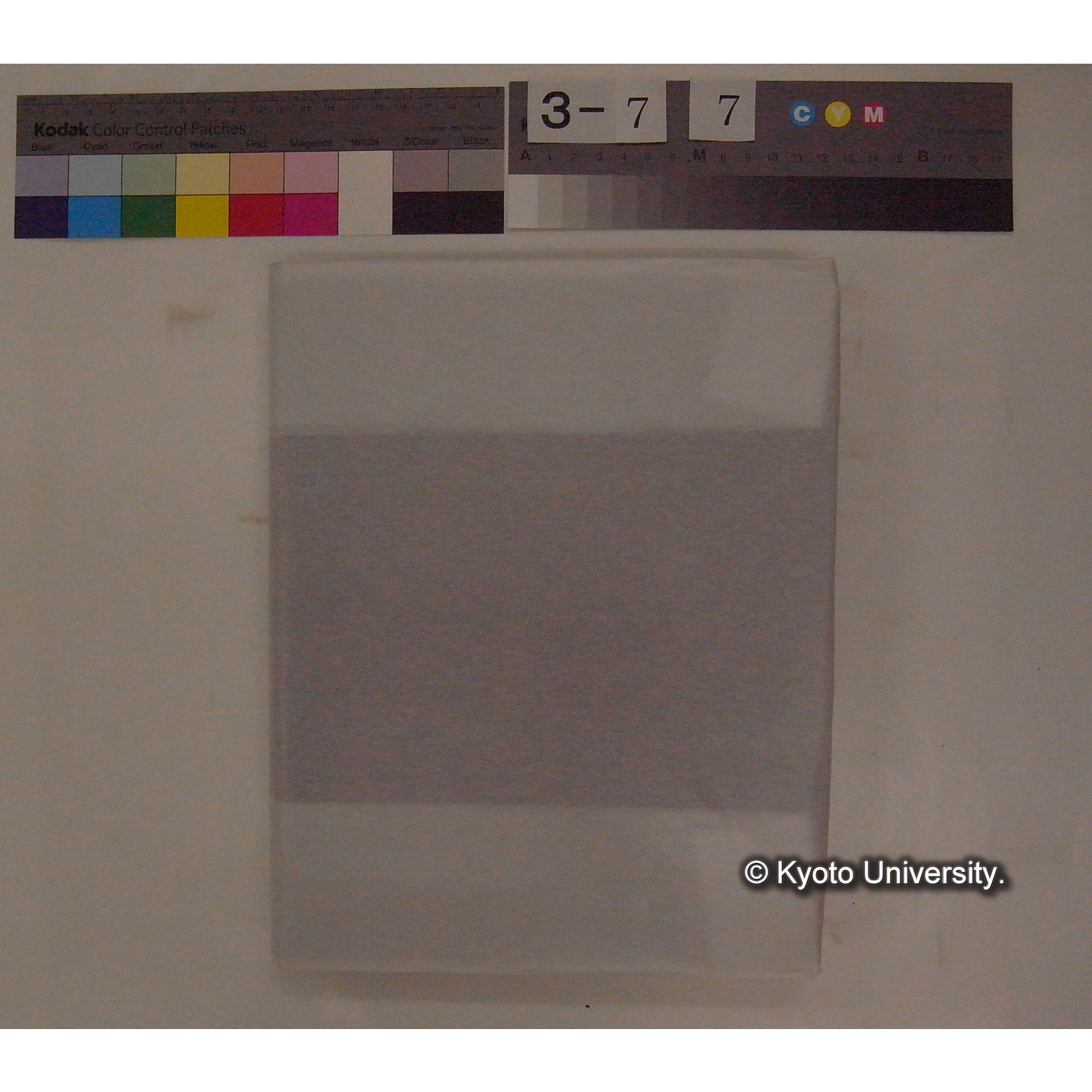 Vergleichende Physiologie (Band9: Muskle-physiologie) (比較生理学 巻9 筋肉生理学) [翻訳ノート製本か] (4)