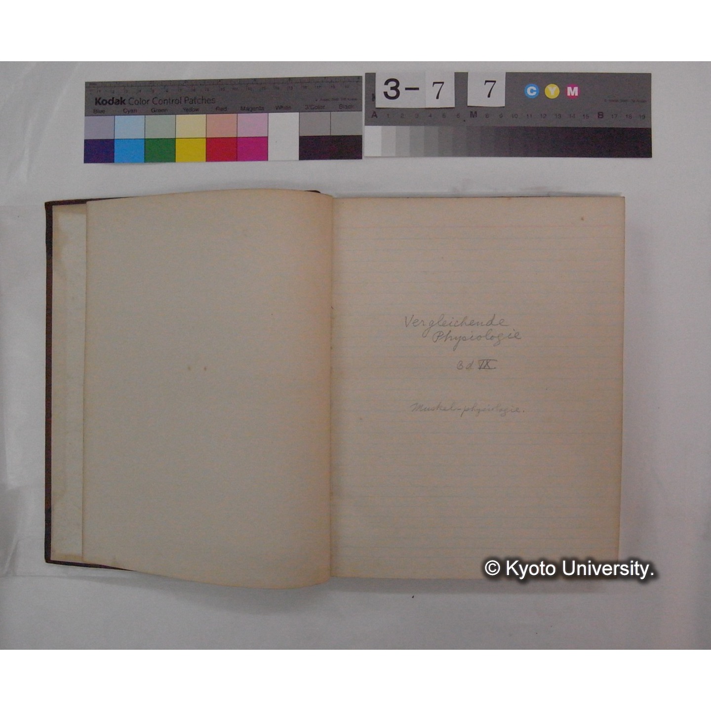 Vergleichende Physiologie (Band9: Muskle-physiologie) (比較生理学 巻9 筋肉生理学) [翻訳ノート製本か] (5)