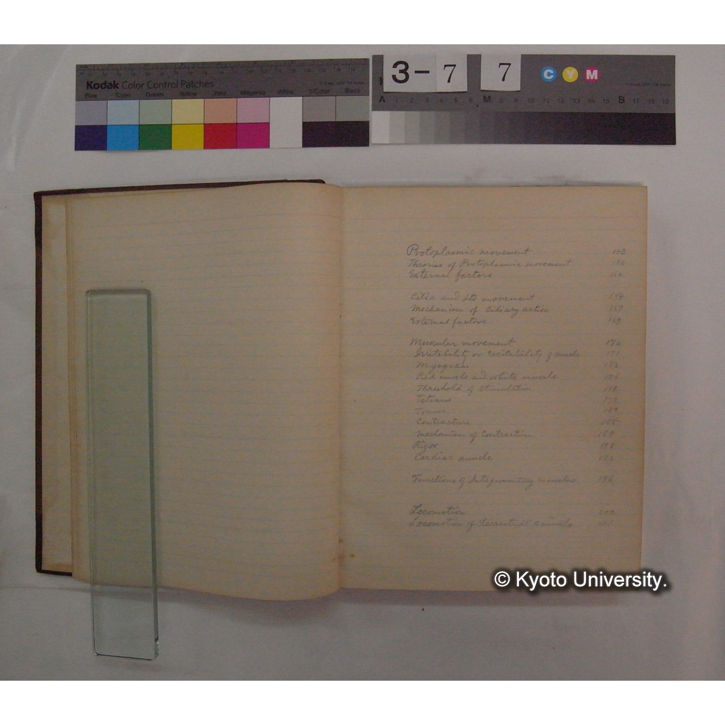 Vergleichende Physiologie (Band9: Muskle-physiologie) (比較生理学 巻9 筋肉生理学) [翻訳ノート製本か] (6)