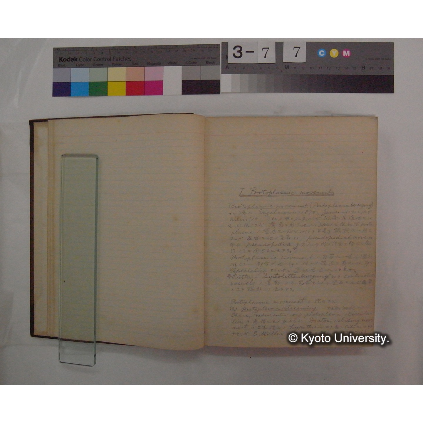 Vergleichende Physiologie (Band9: Muskle-physiologie) (比較生理学 巻9 筋肉生理学) [翻訳ノート製本か] (7)