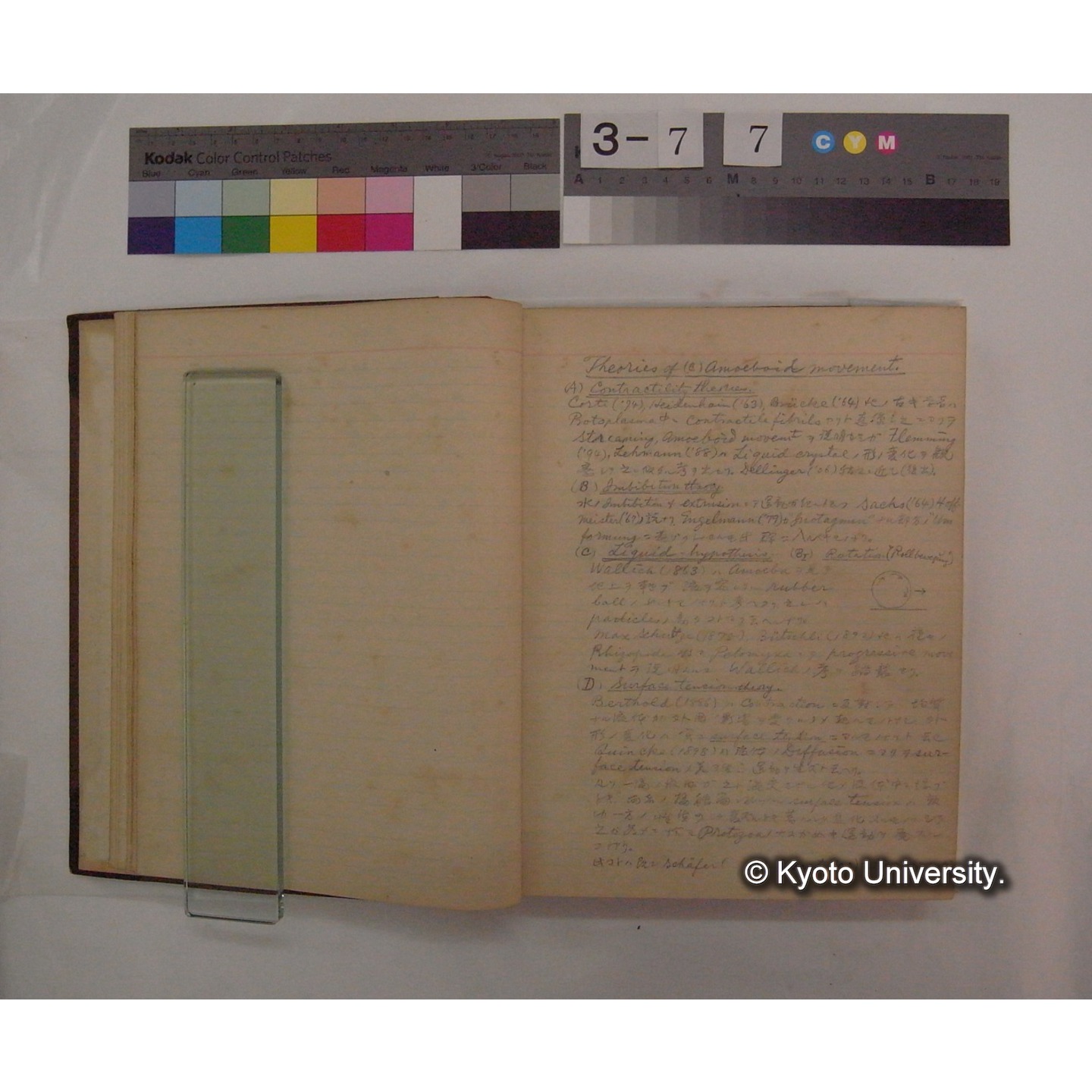 Vergleichende Physiologie (Band9: Muskle-physiologie) (比較生理学 巻9 筋肉生理学) [翻訳ノート製本か] (8)