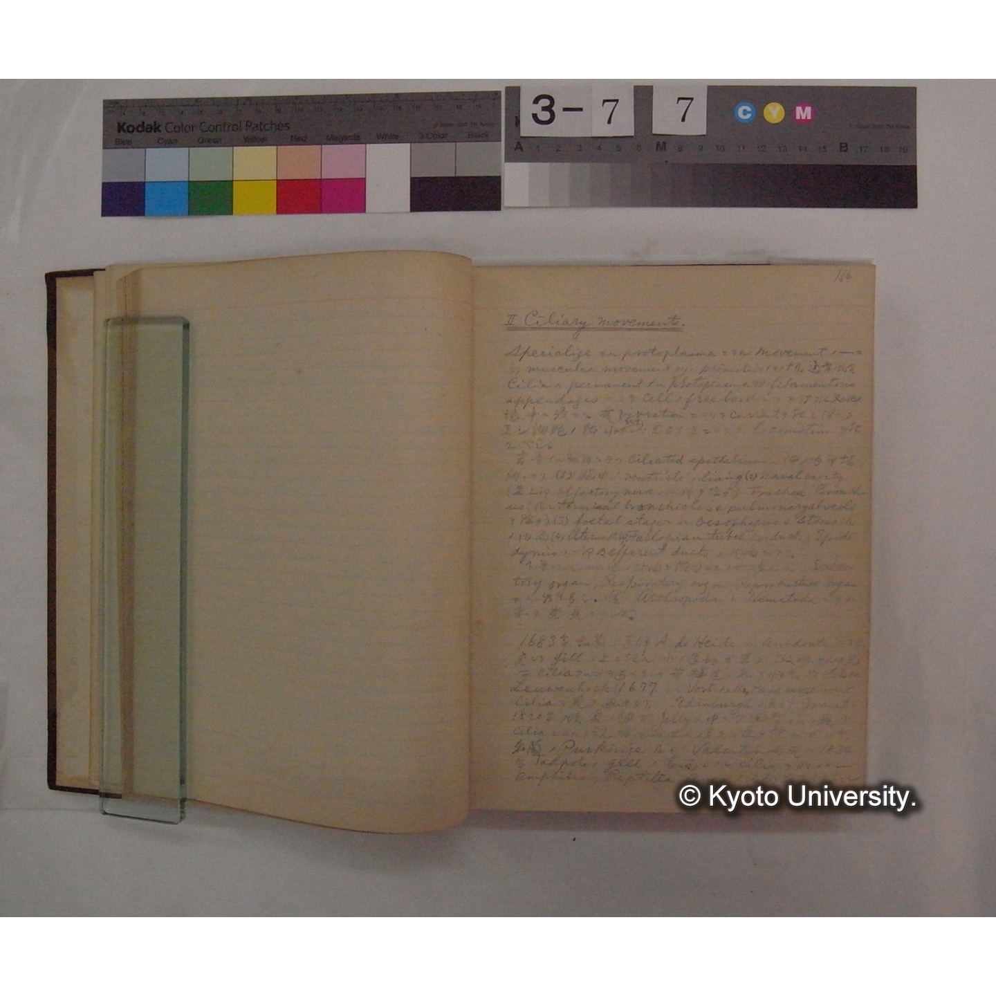 Vergleichende Physiologie (Band9: Muskle-physiologie) (比較生理学 巻9 筋肉生理学) [翻訳ノート製本か] (9)