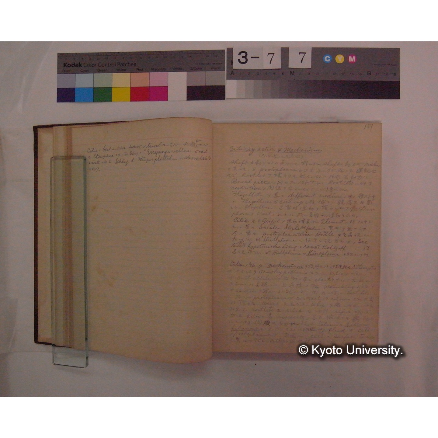 Vergleichende Physiologie (Band9: Muskle-physiologie) (比較生理学 巻9 筋肉生理学) [翻訳ノート製本か] (10)