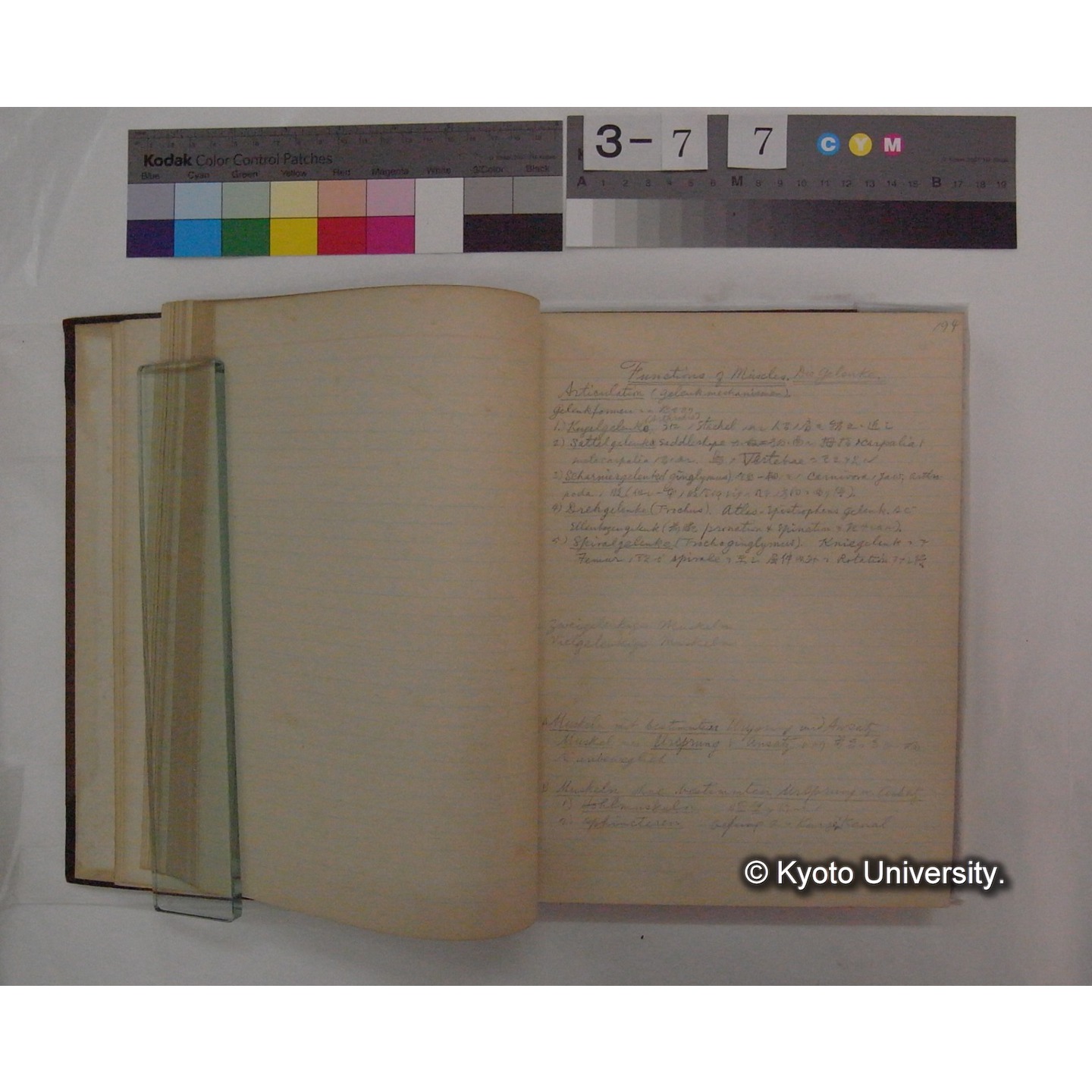 Vergleichende Physiologie (Band9: Muskle-physiologie) (比較生理学 巻9 筋肉生理学) [翻訳ノート製本か] (13)