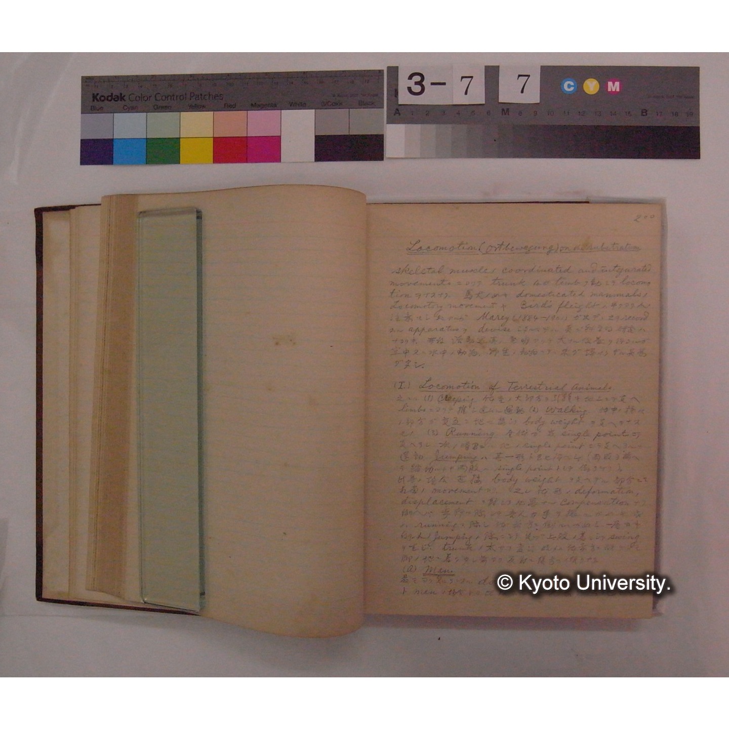 Vergleichende Physiologie (Band9: Muskle-physiologie) (比較生理学 巻9 筋肉生理学) [翻訳ノート製本か] (17)