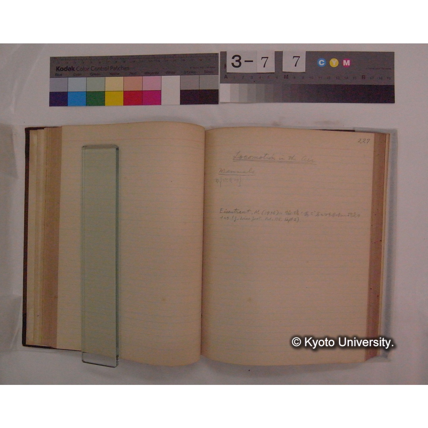 Vergleichende Physiologie (Band9: Muskle-physiologie) (比較生理学 巻9 筋肉生理学) [翻訳ノート製本か] (21)