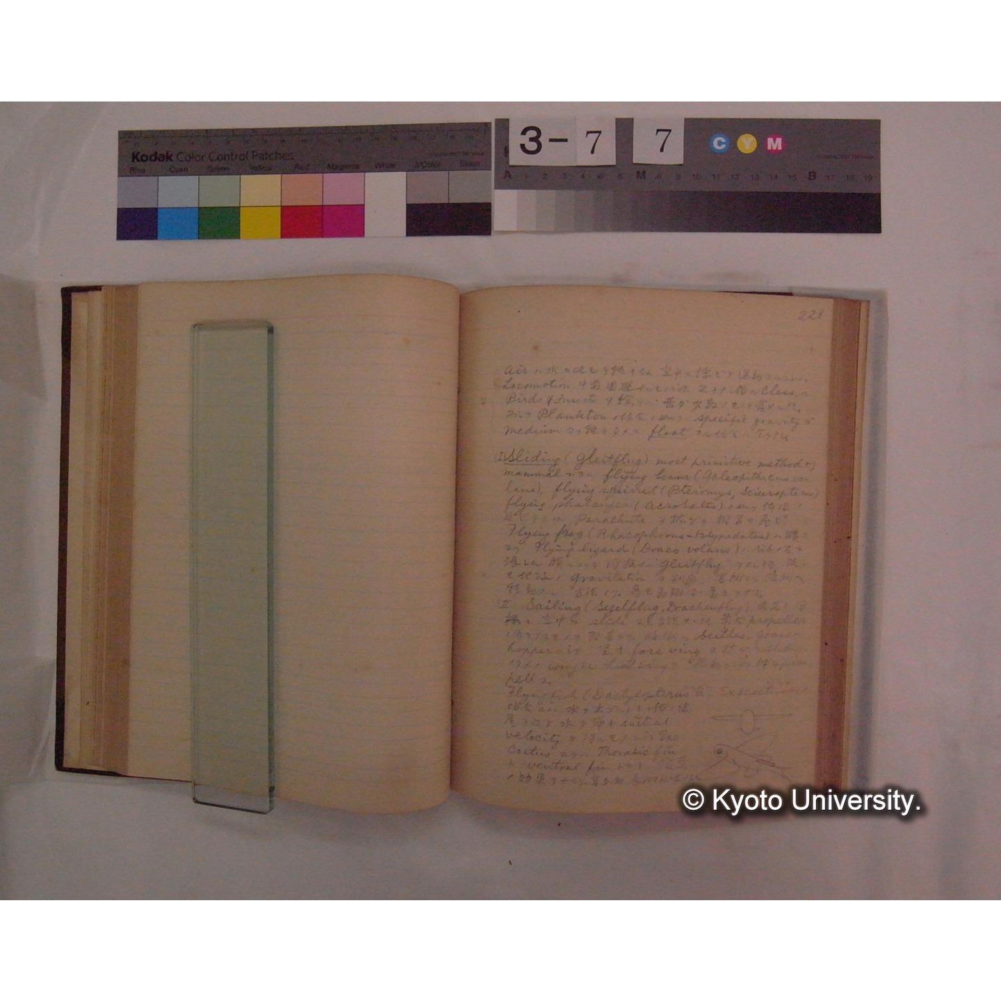 Vergleichende Physiologie (Band9: Muskle-physiologie) (比較生理学 巻9 筋肉生理学) [翻訳ノート製本か] (22)