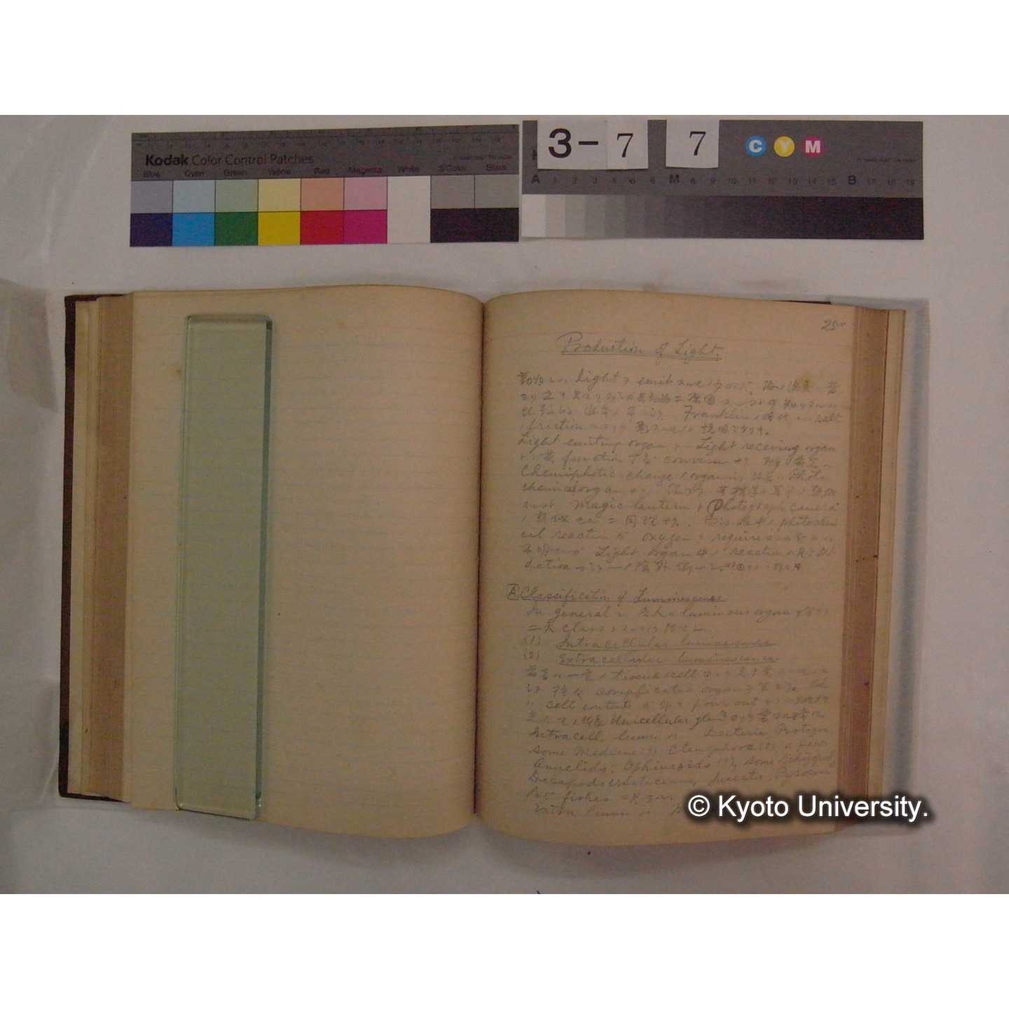 Vergleichende Physiologie (Band9: Muskle-physiologie) (比較生理学 巻9 筋肉生理学) [翻訳ノート製本か] (24)