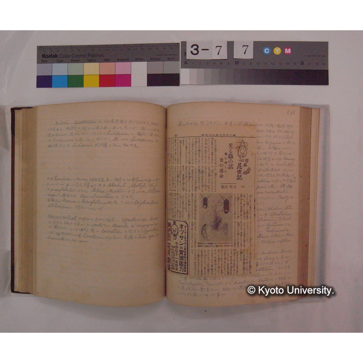 Vergleichende Physiologie (Band9: Muskle-physiologie) (比較生理学 巻9 筋肉生理学) [翻訳ノート製本か] (26)