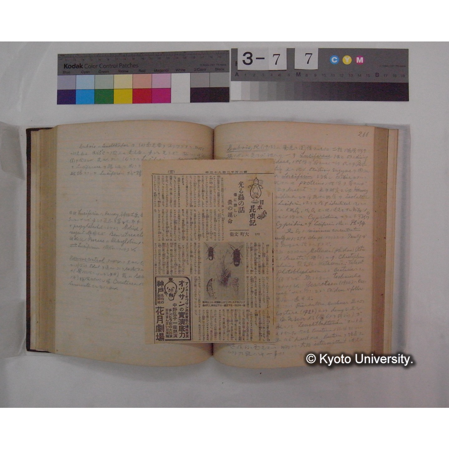 Vergleichende Physiologie (Band9: Muskle-physiologie) (比較生理学 巻9 筋肉生理学) [翻訳ノート製本か] (27)