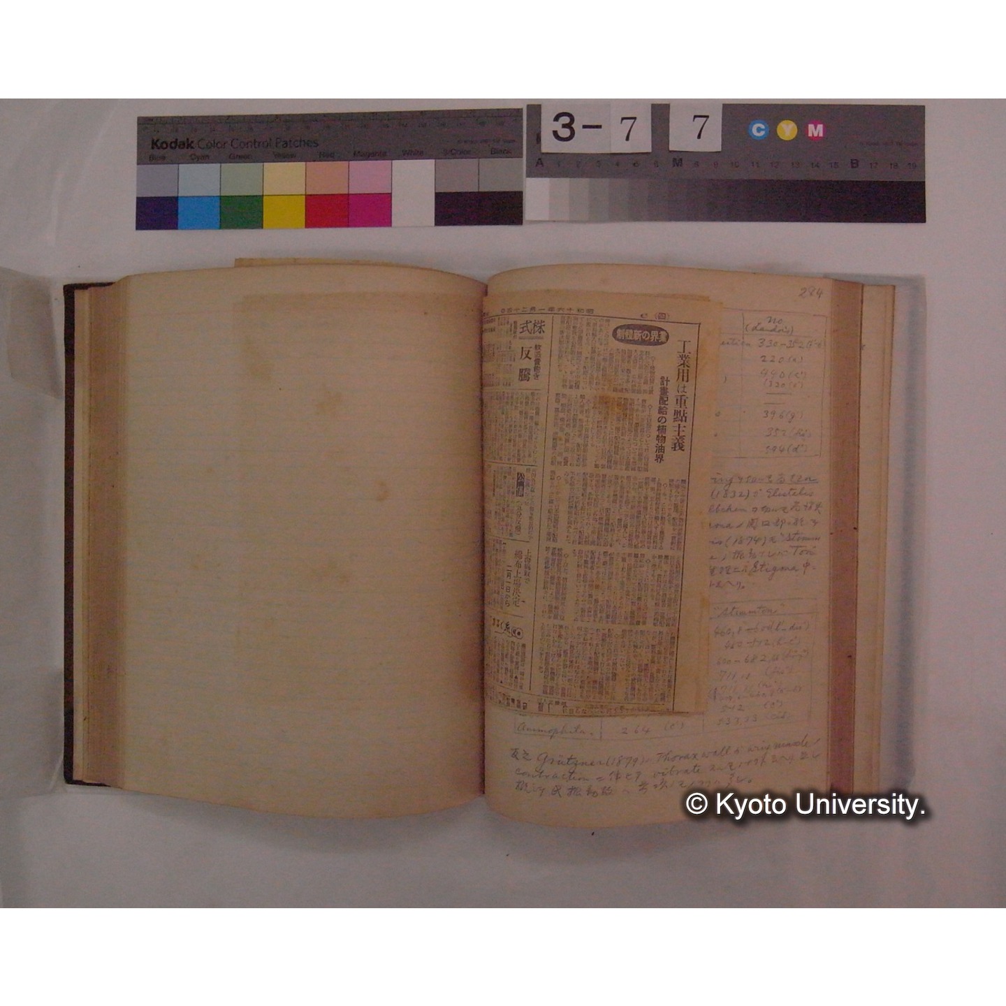 Vergleichende Physiologie (Band9: Muskle-physiologie) (比較生理学 巻9 筋肉生理学) [翻訳ノート製本か] (29)