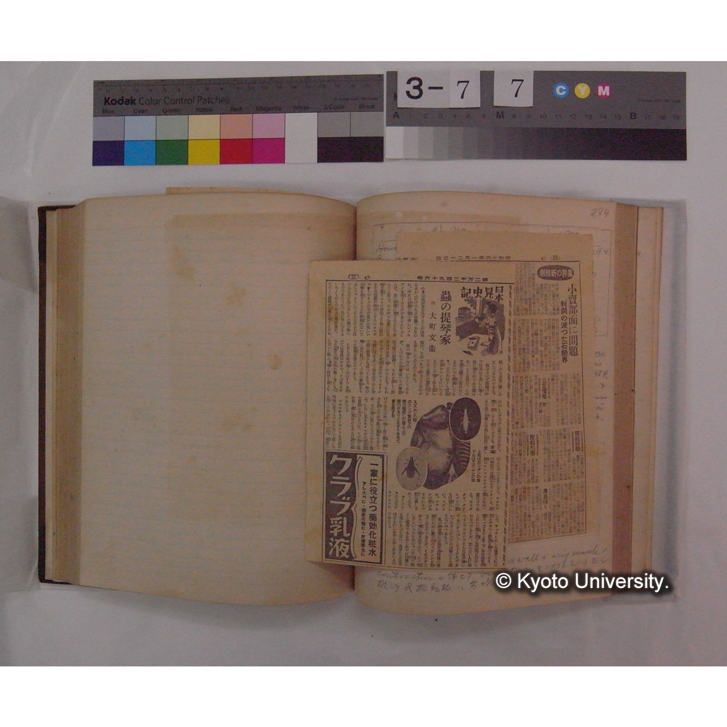 Vergleichende Physiologie (Band9: Muskle-physiologie) (比較生理学 巻9 筋肉生理学) [翻訳ノート製本か] (31)