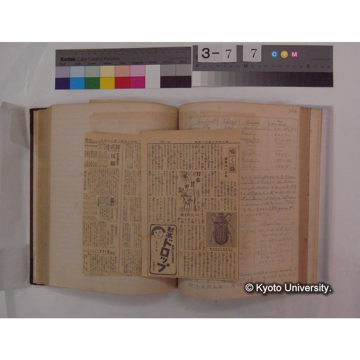 Vergleichende Physiologie (Band9: Muskle-physiologie) (比較生理学 巻9 筋肉生理学) [翻訳ノート製本か] (32)