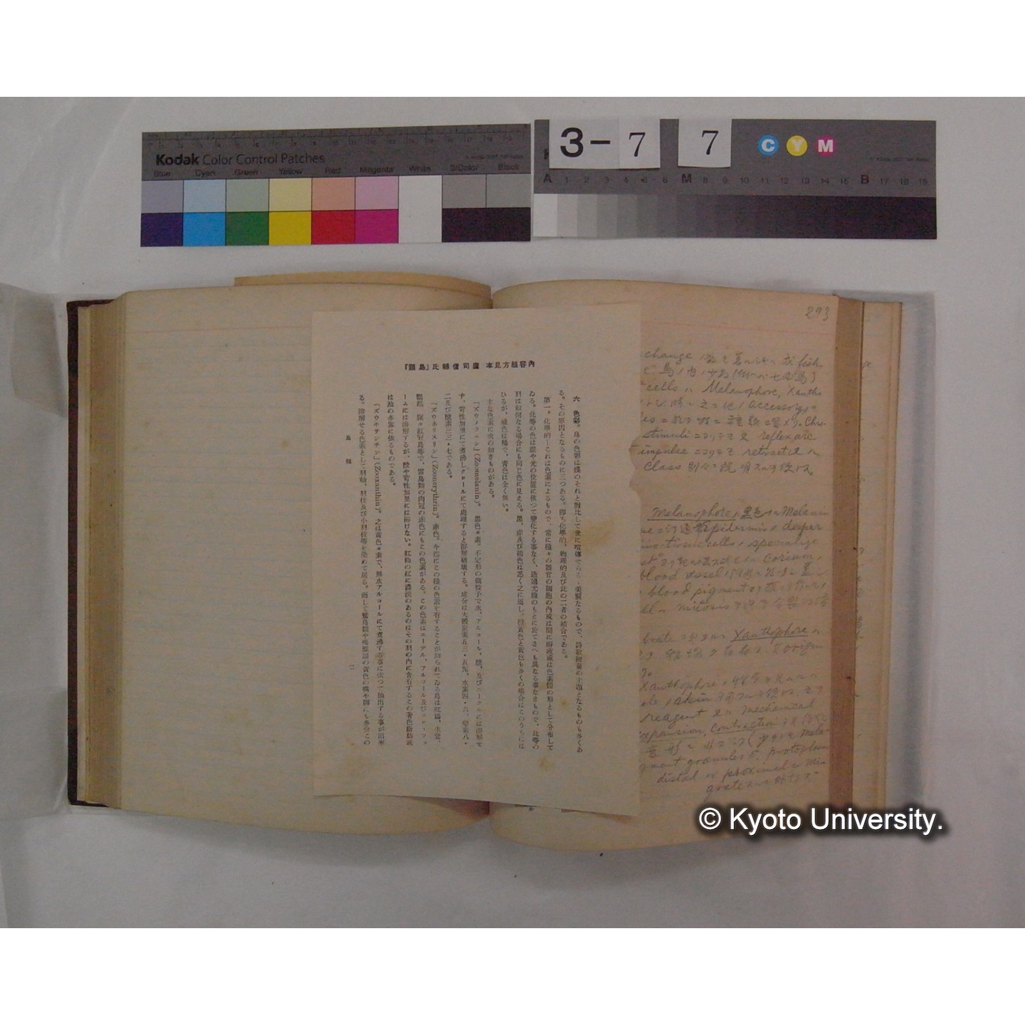 Vergleichende Physiologie (Band9: Muskle-physiologie) (比較生理学 巻9 筋肉生理学) [翻訳ノート製本か] (35)