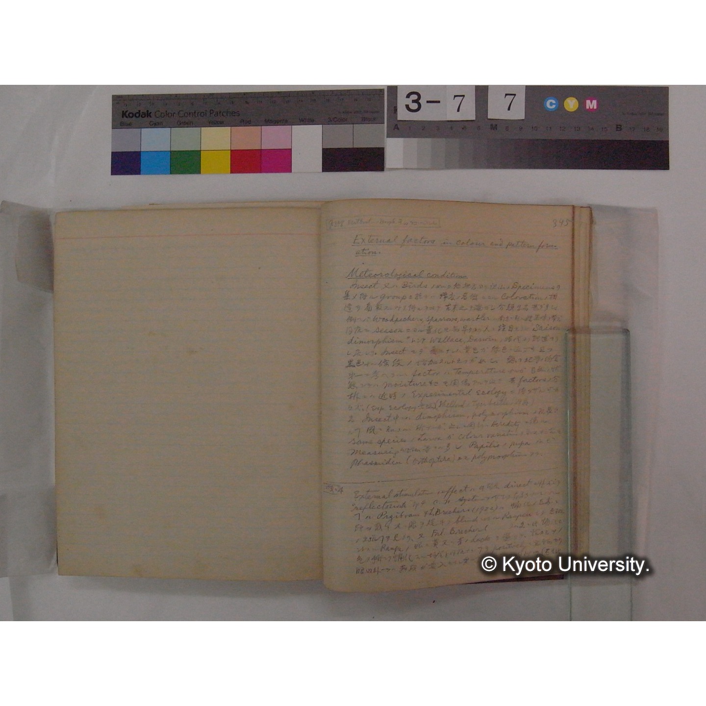 Vergleichende Physiologie (Band9: Muskle-physiologie) (比較生理学 巻9 筋肉生理学) [翻訳ノート製本か] (37)