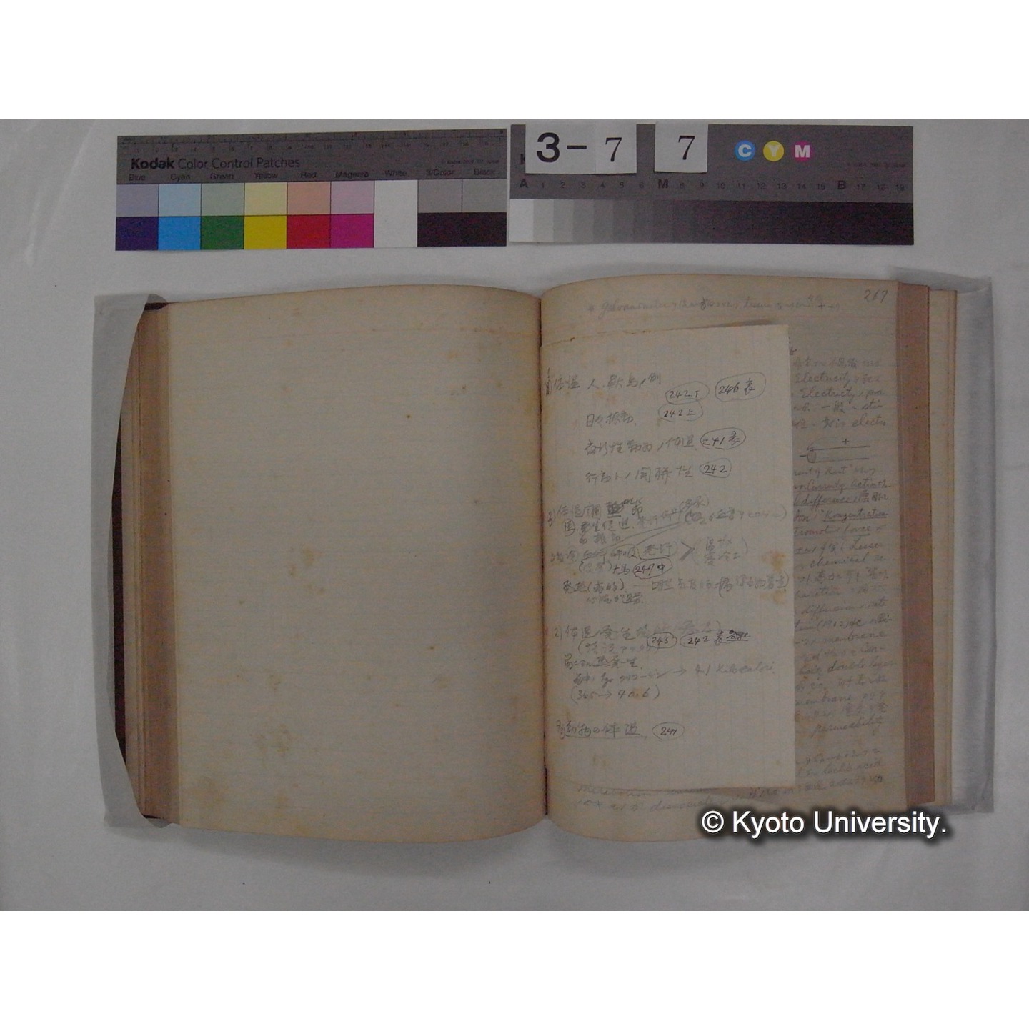 Vergleichende Physiologie (Band9: Muskle-physiologie) (比較生理学 巻9 筋肉生理学) [翻訳ノート製本か] (38)