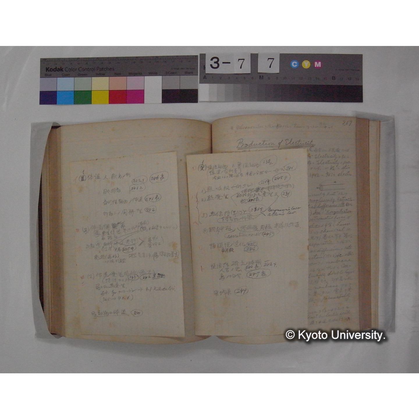 Vergleichende Physiologie (Band9: Muskle-physiologie) (比較生理学 巻9 筋肉生理学) [翻訳ノート製本か] (39)