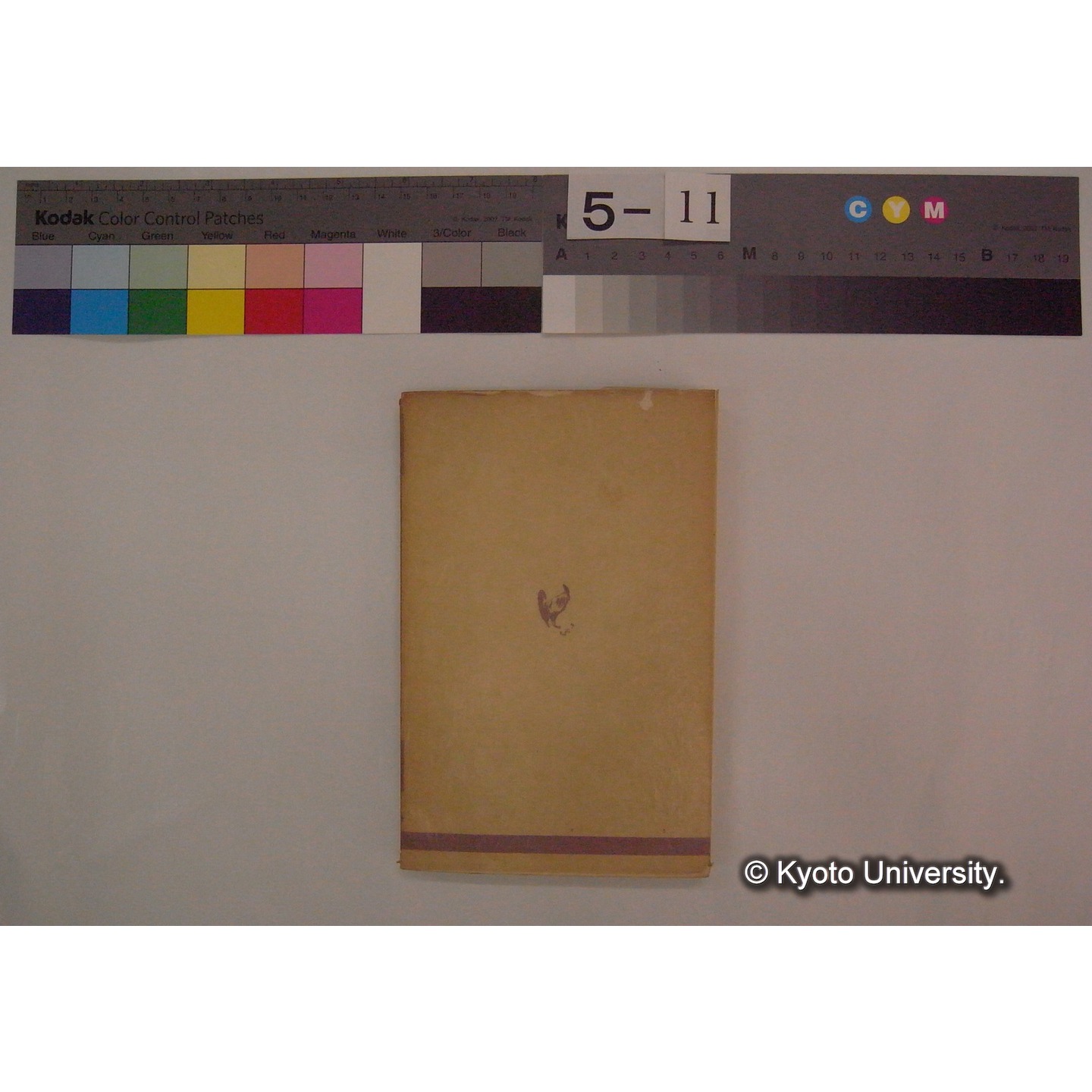 生物から岩石ができる話 / ジョルジュ・ドフランドル著[ほか] (文庫クセジュ; 第91) (8)