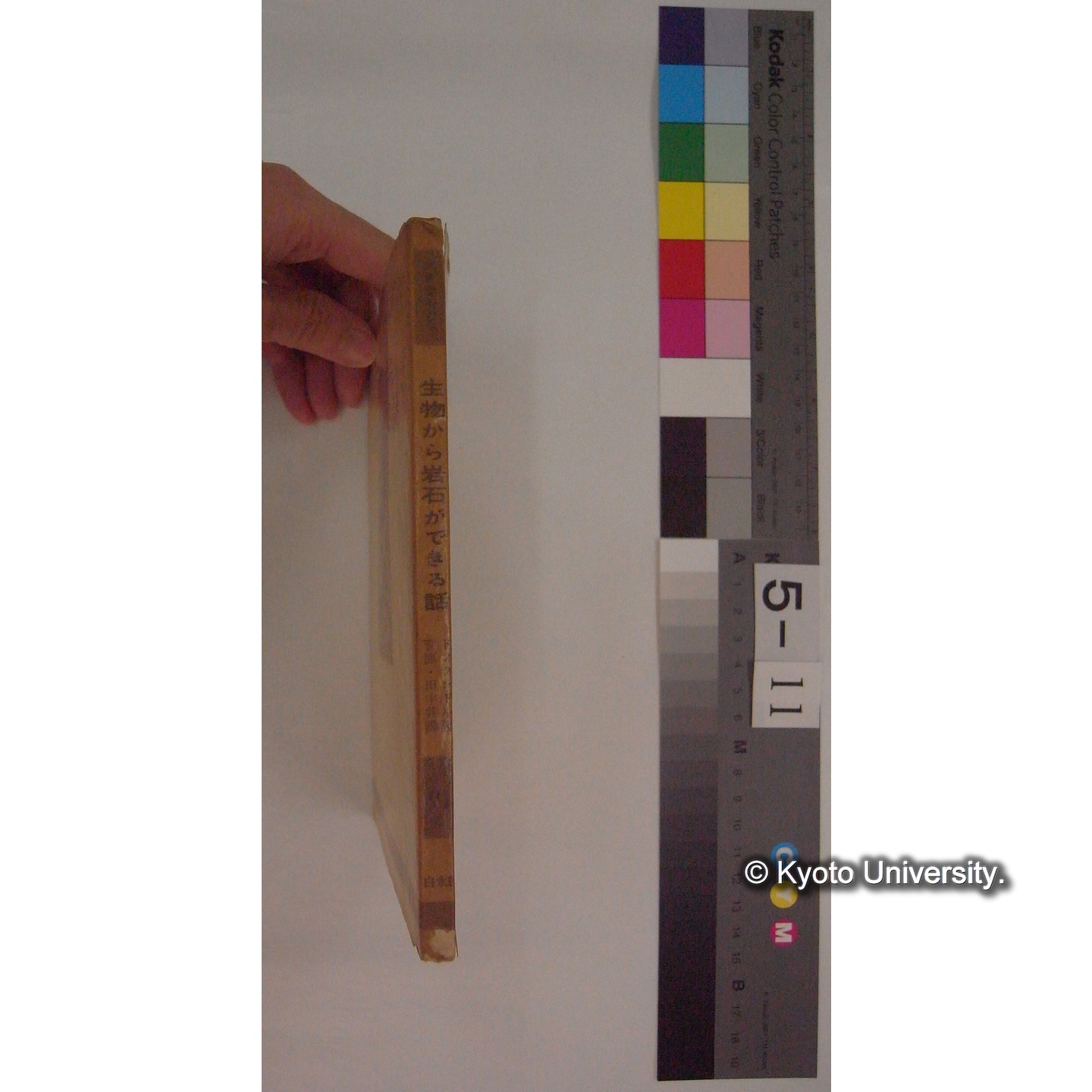 生物から岩石ができる話 / ジョルジュ・ドフランドル著[ほか] (文庫クセジュ; 第91) (9)