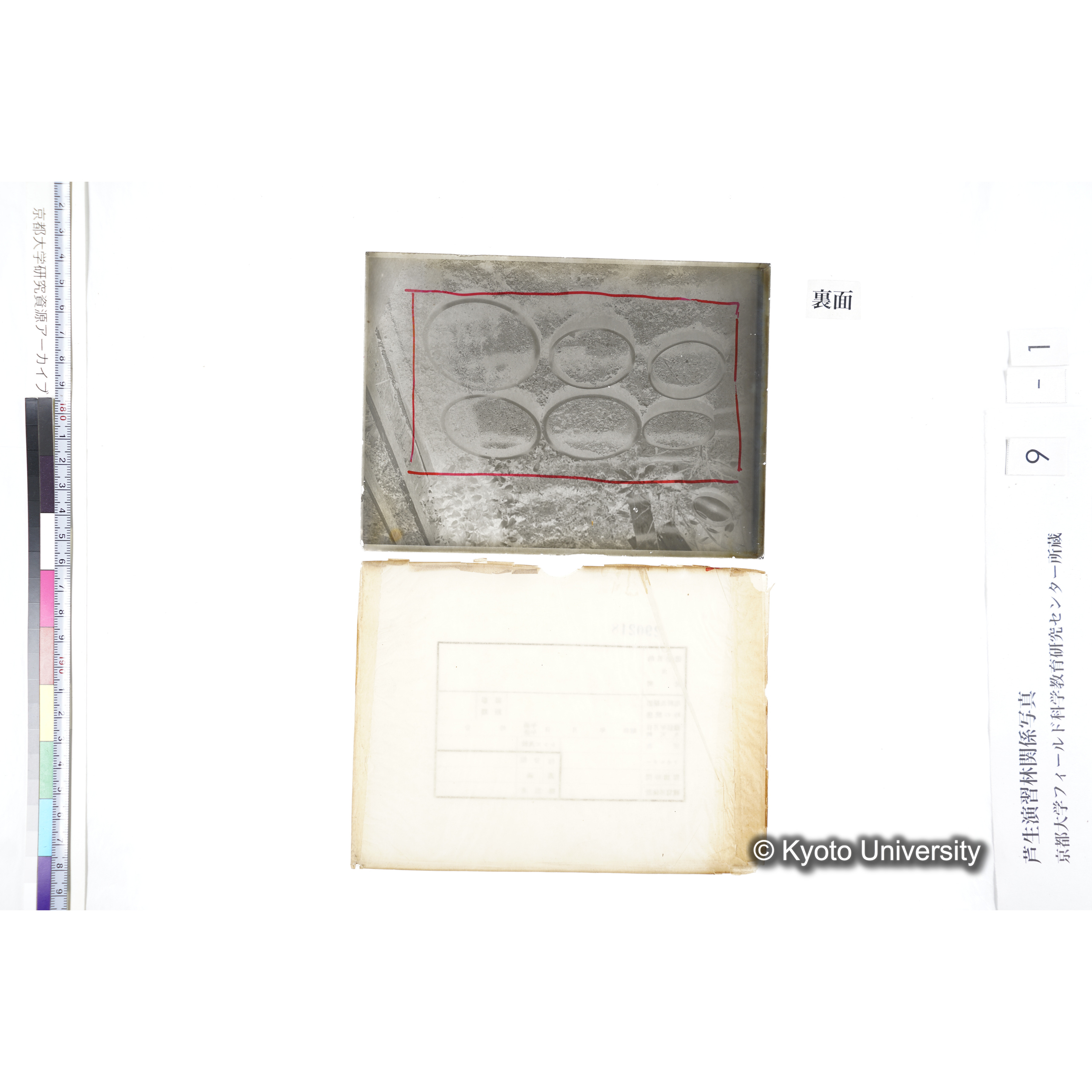 〔ポット6個〕 (2)