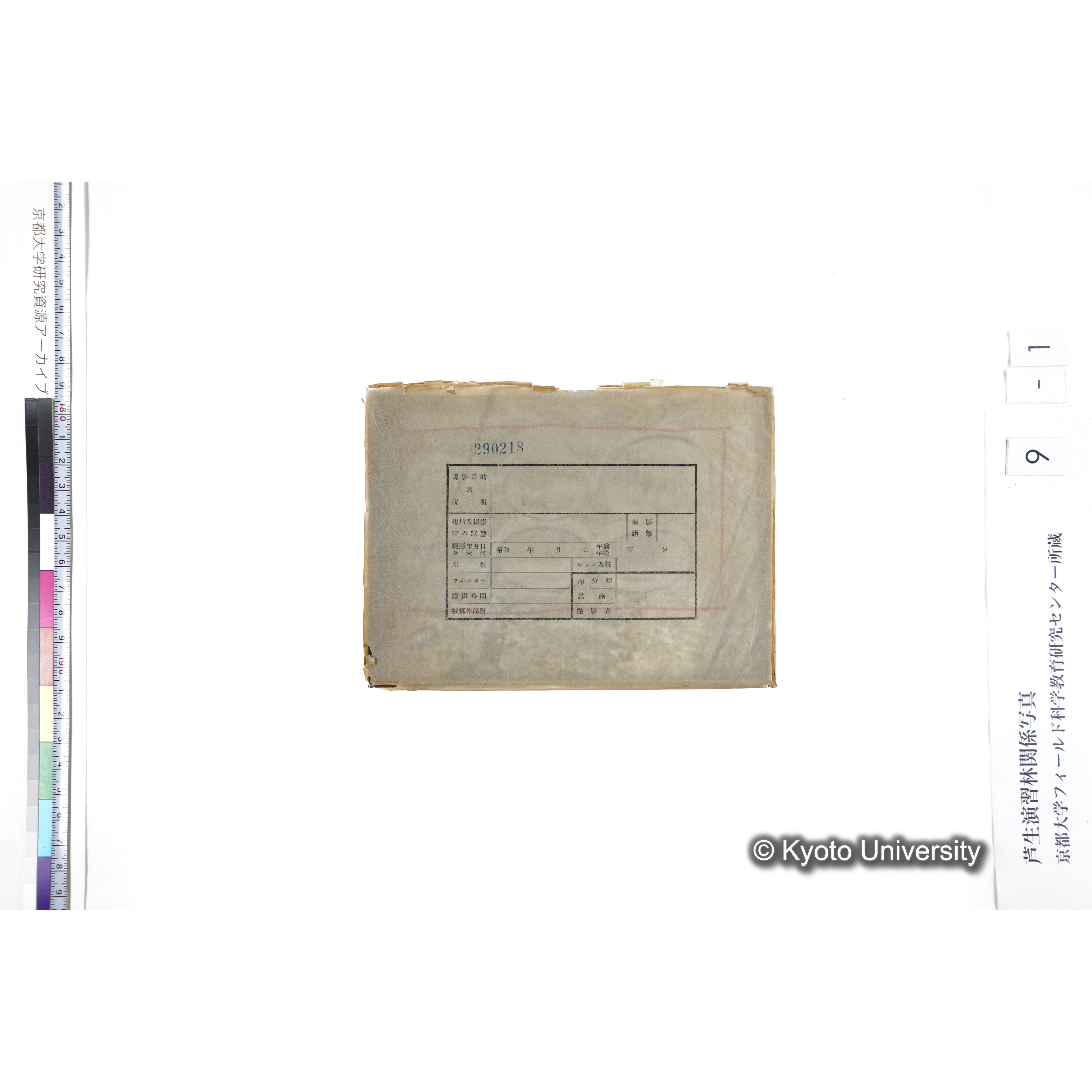 〔ポット6個〕 (3)