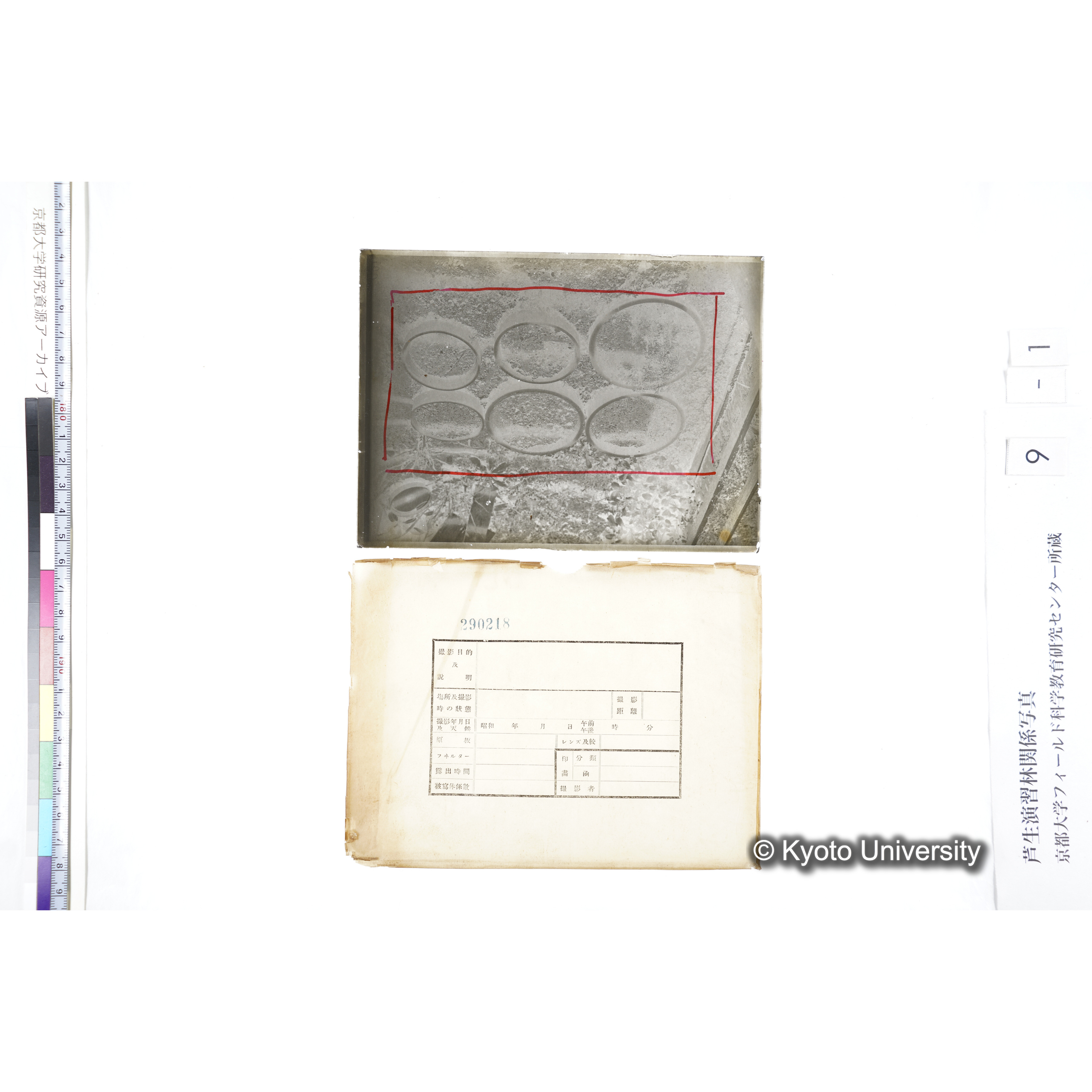 〔ポット6個〕 (4)