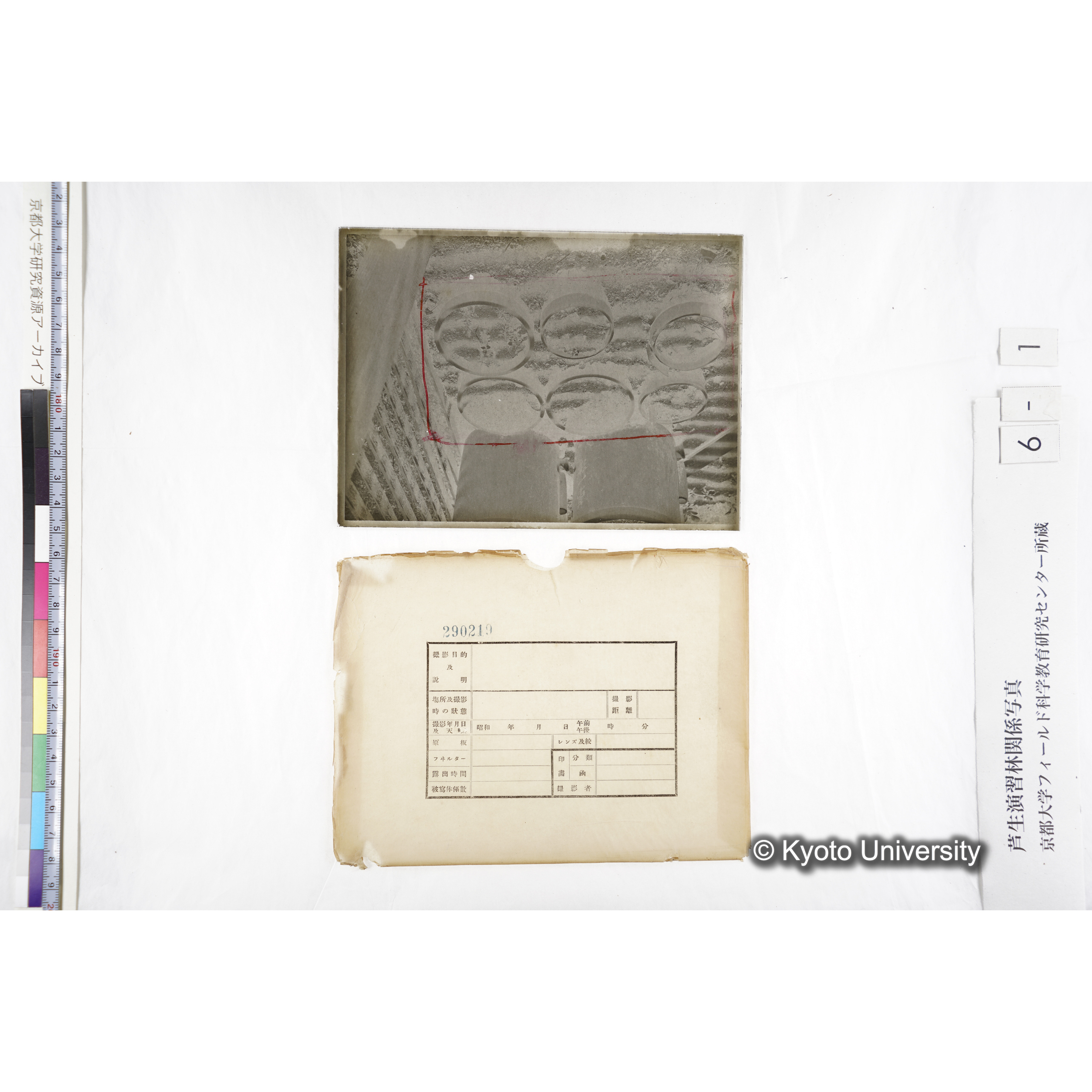 〔ポット6個〕 (2)