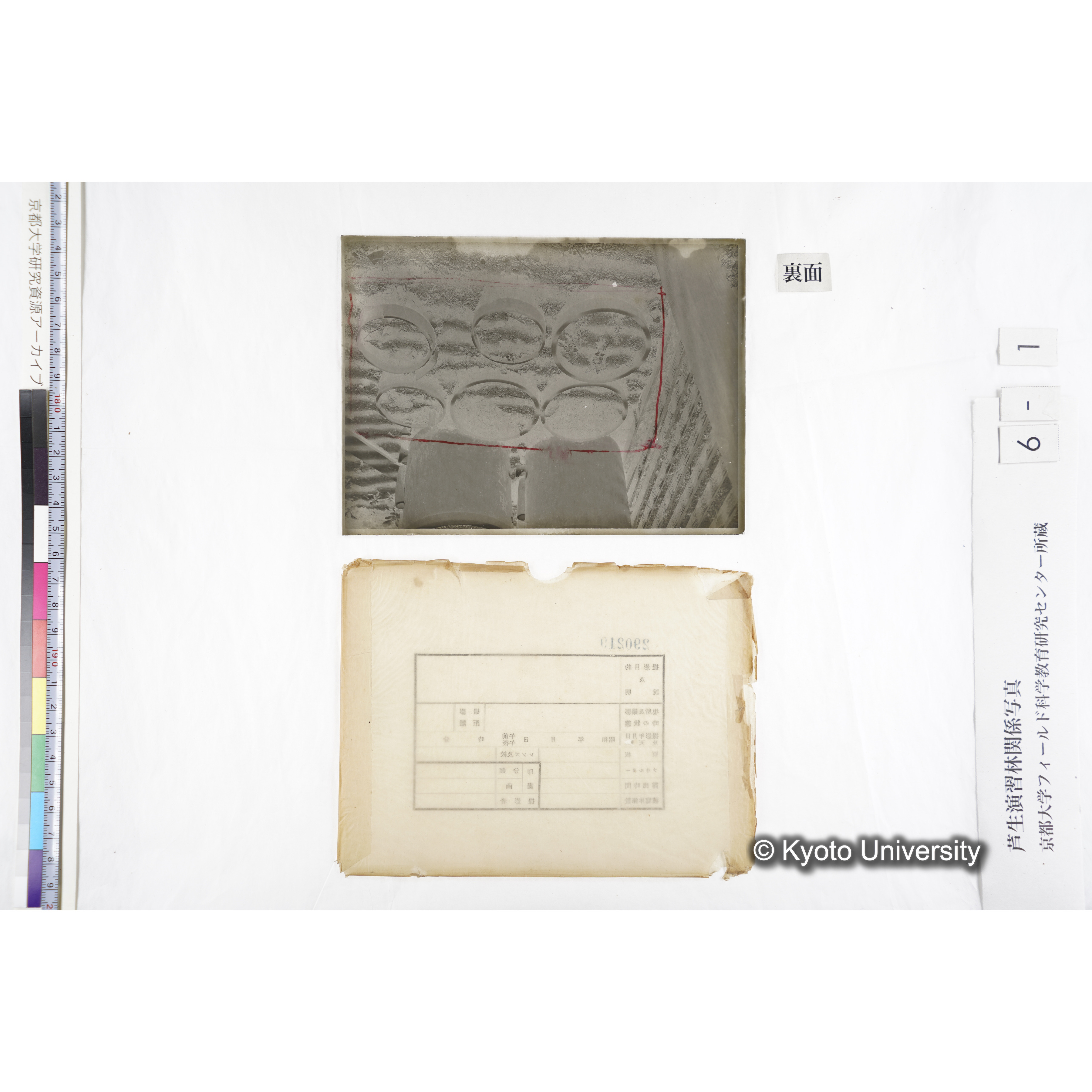 〔ポット6個〕 (3)