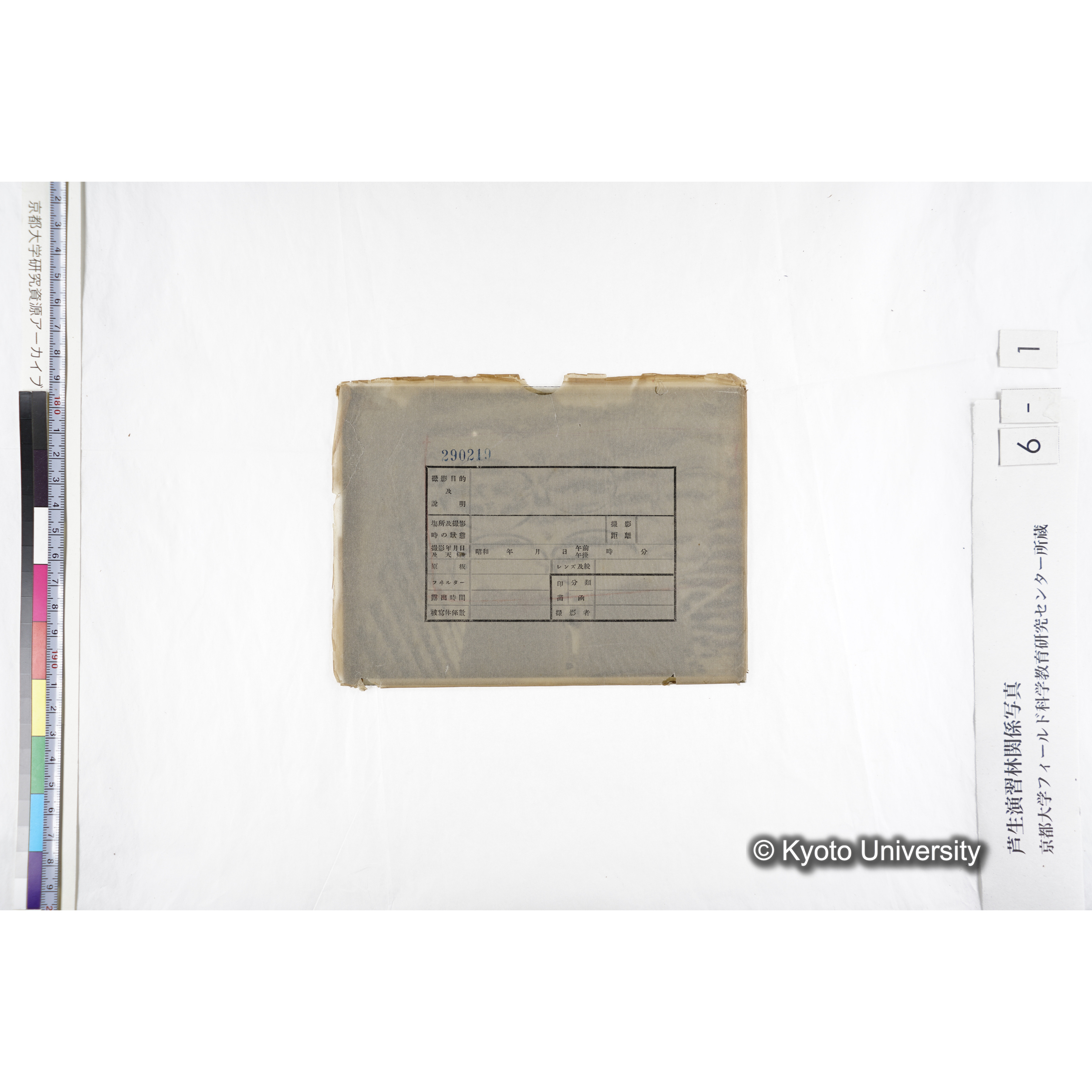 〔ポット6個〕 (4)