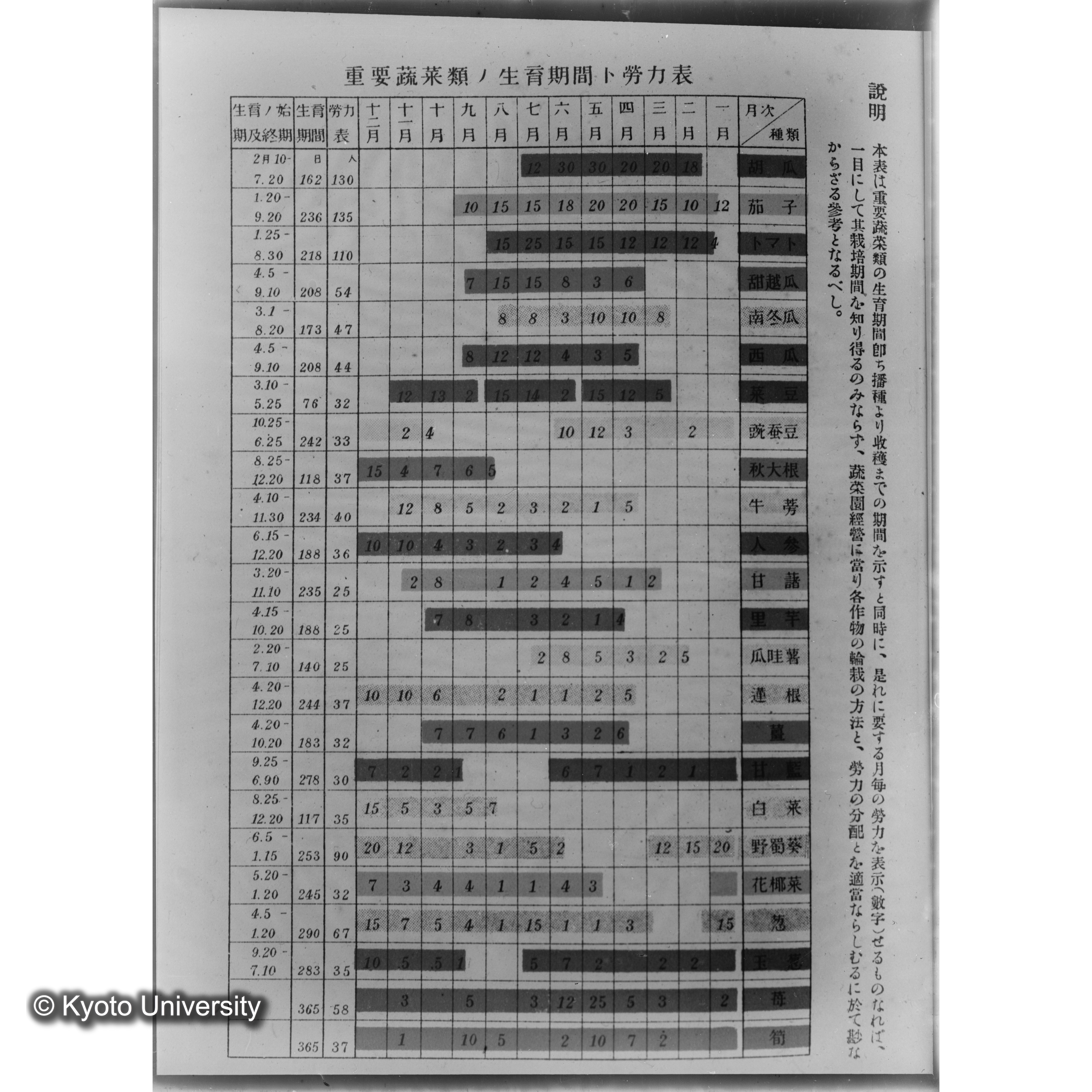 主ナル蔬菜ノ作付季節表／冨樫 蔬菜栽培講義■　〔表「重要蔬菜類ノ生育期間ト労力表」〕 (1)