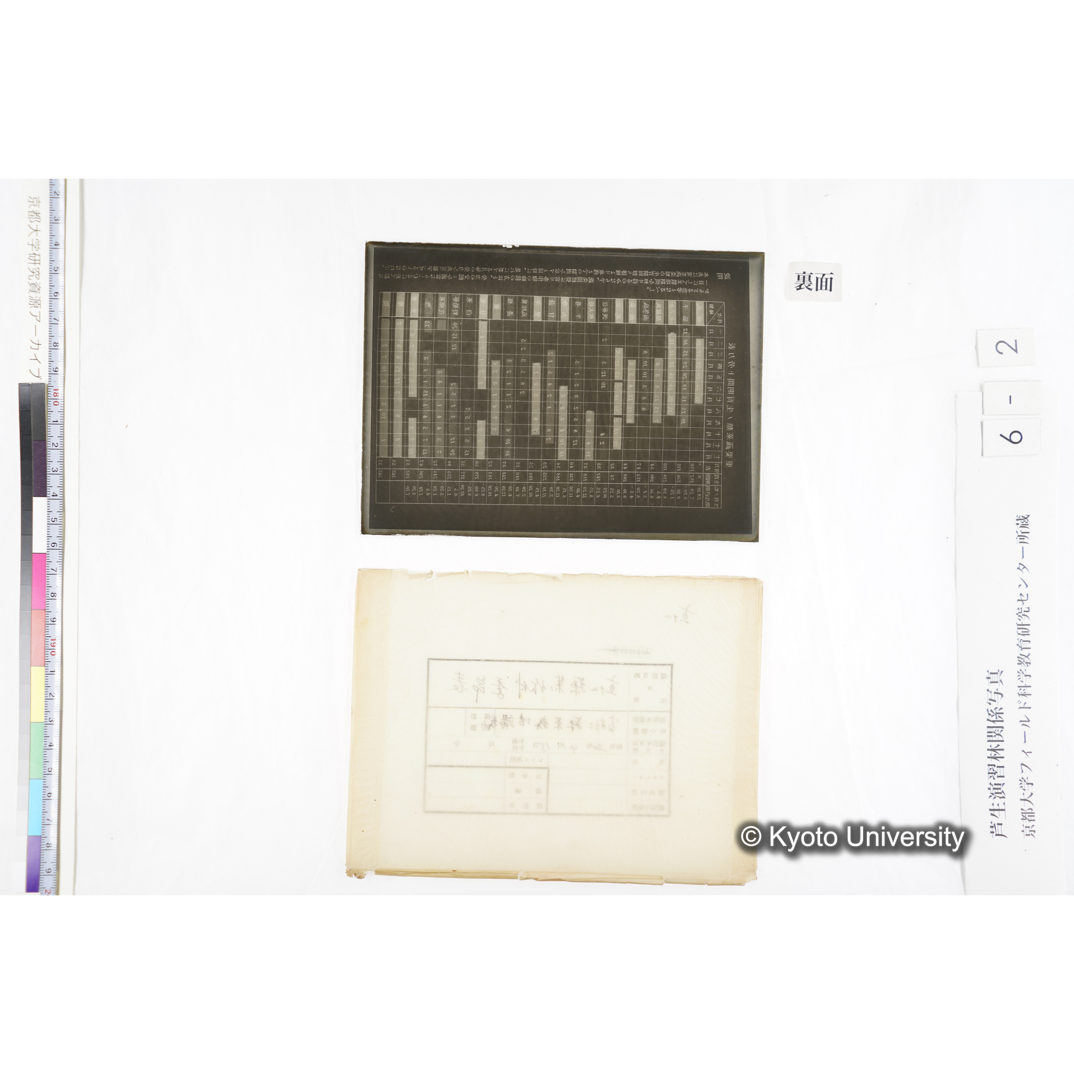 主ナル蔬菜ノ作付季節表／冨樫 蔬菜栽培講義■　〔表「重要蔬菜類ノ生育期間ト労力表」〕 (2)