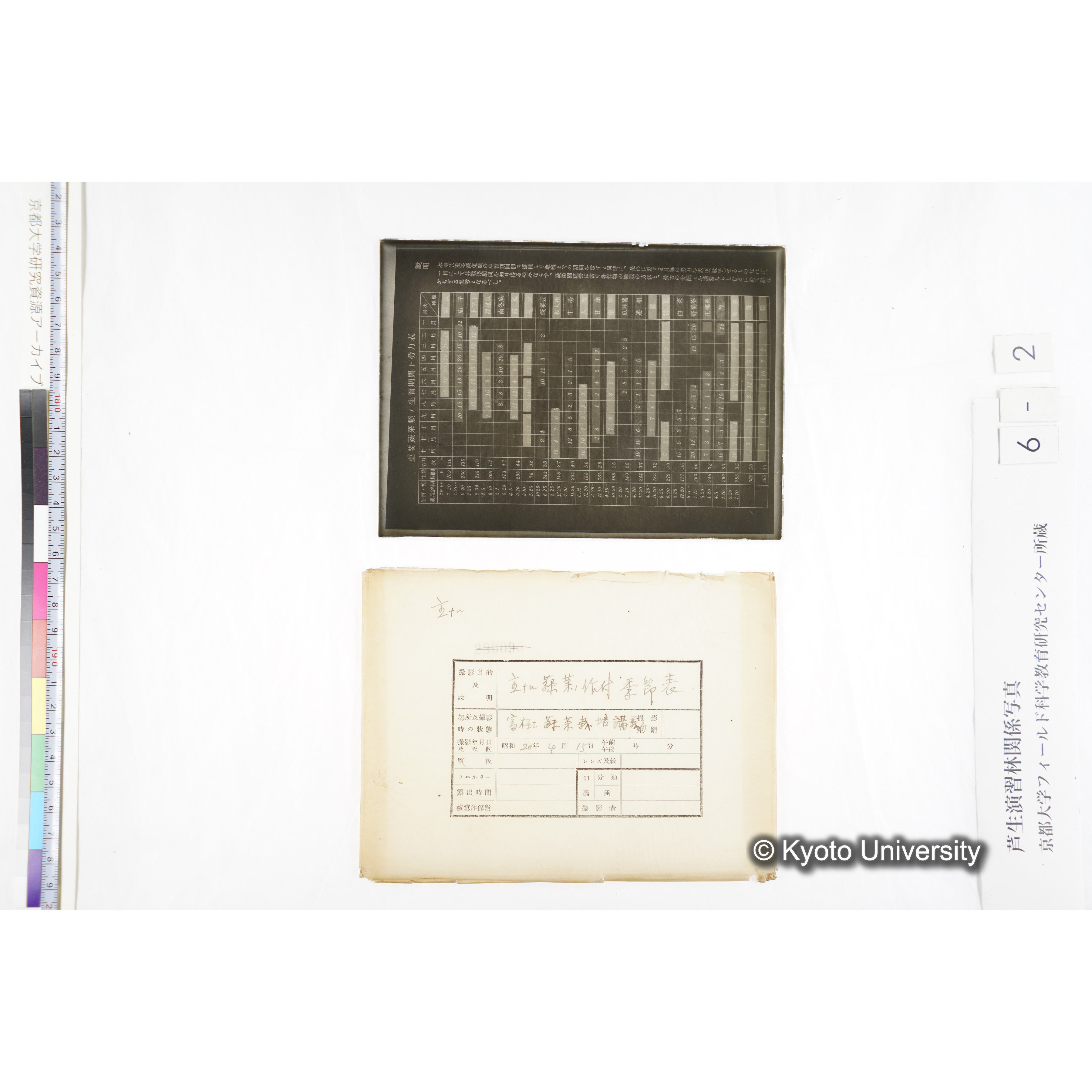 主ナル蔬菜ノ作付季節表／冨樫 蔬菜栽培講義■　〔表「重要蔬菜類ノ生育期間ト労力表」〕 (3)