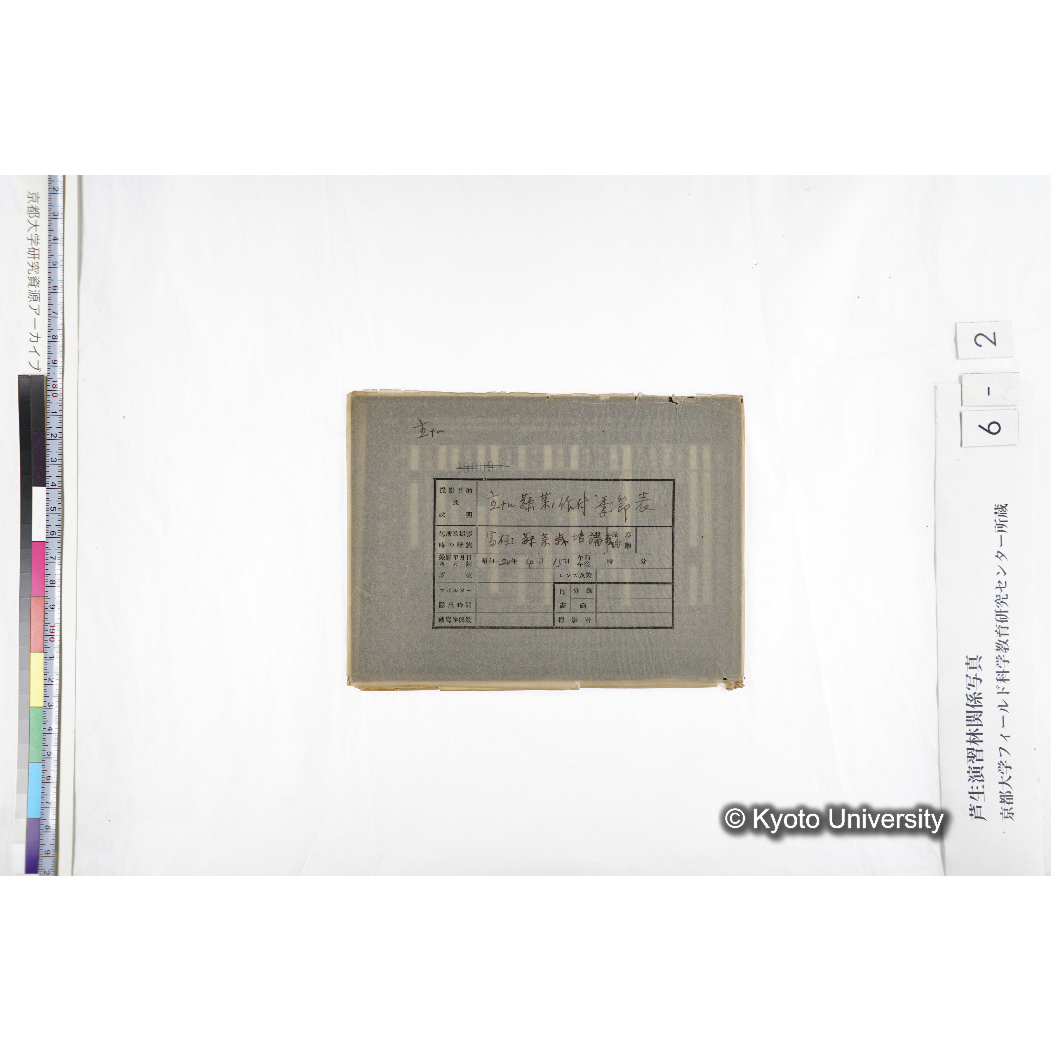 主ナル蔬菜ノ作付季節表／冨樫 蔬菜栽培講義■　〔表「重要蔬菜類ノ生育期間ト労力表」〕 (4)