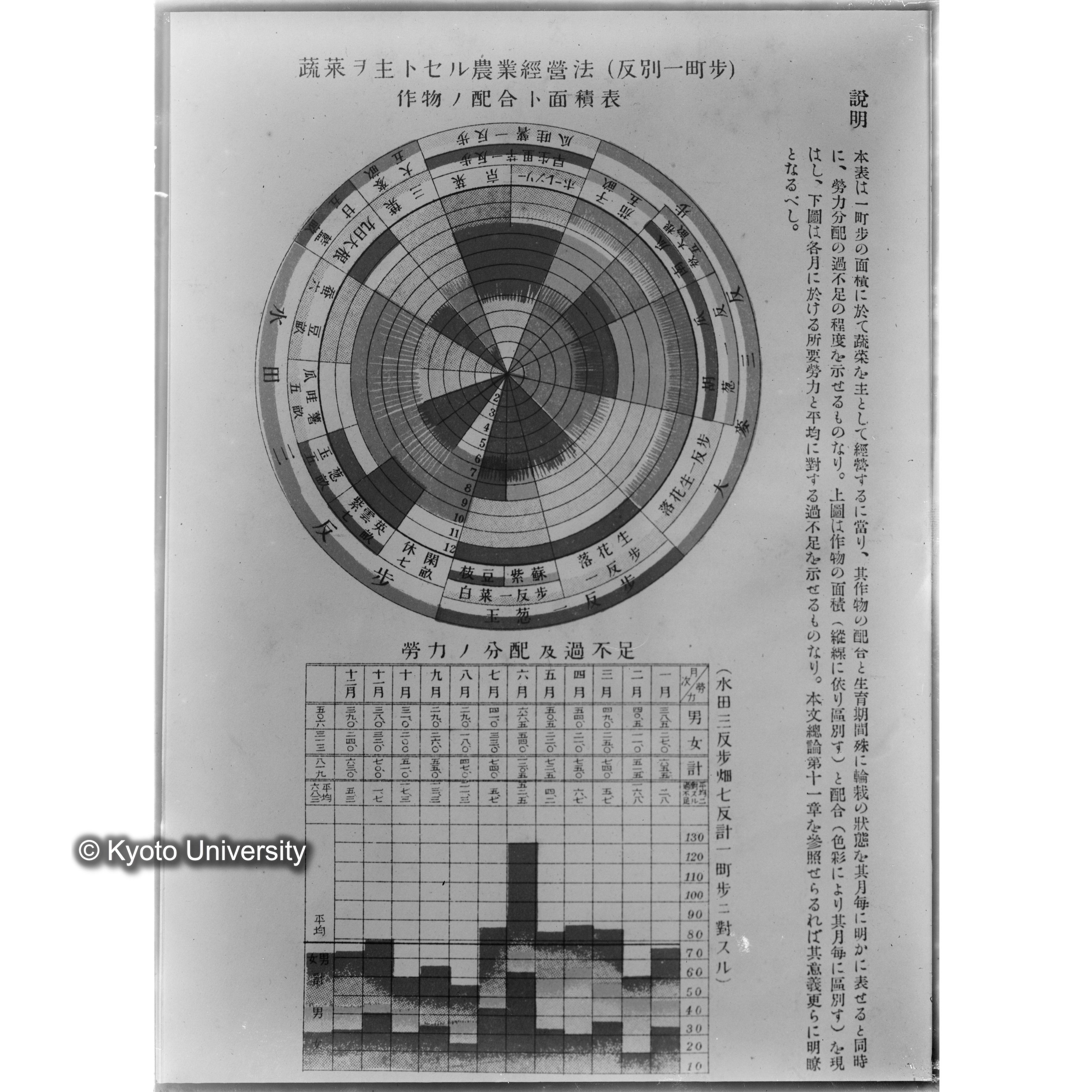 主ナル蔬菜ノ作付分配図／冨樫 蔬菜栽培講義■主ナル蔬菜ノ作付季節表／冨樫 蔬菜栽培講義■　〔表上「蔬菜ヲ主トセル農業経営法（反別一町歩）／作物ノ配合ト面積表」・表下「労力ノ分配及過不足」〕〕 (1)