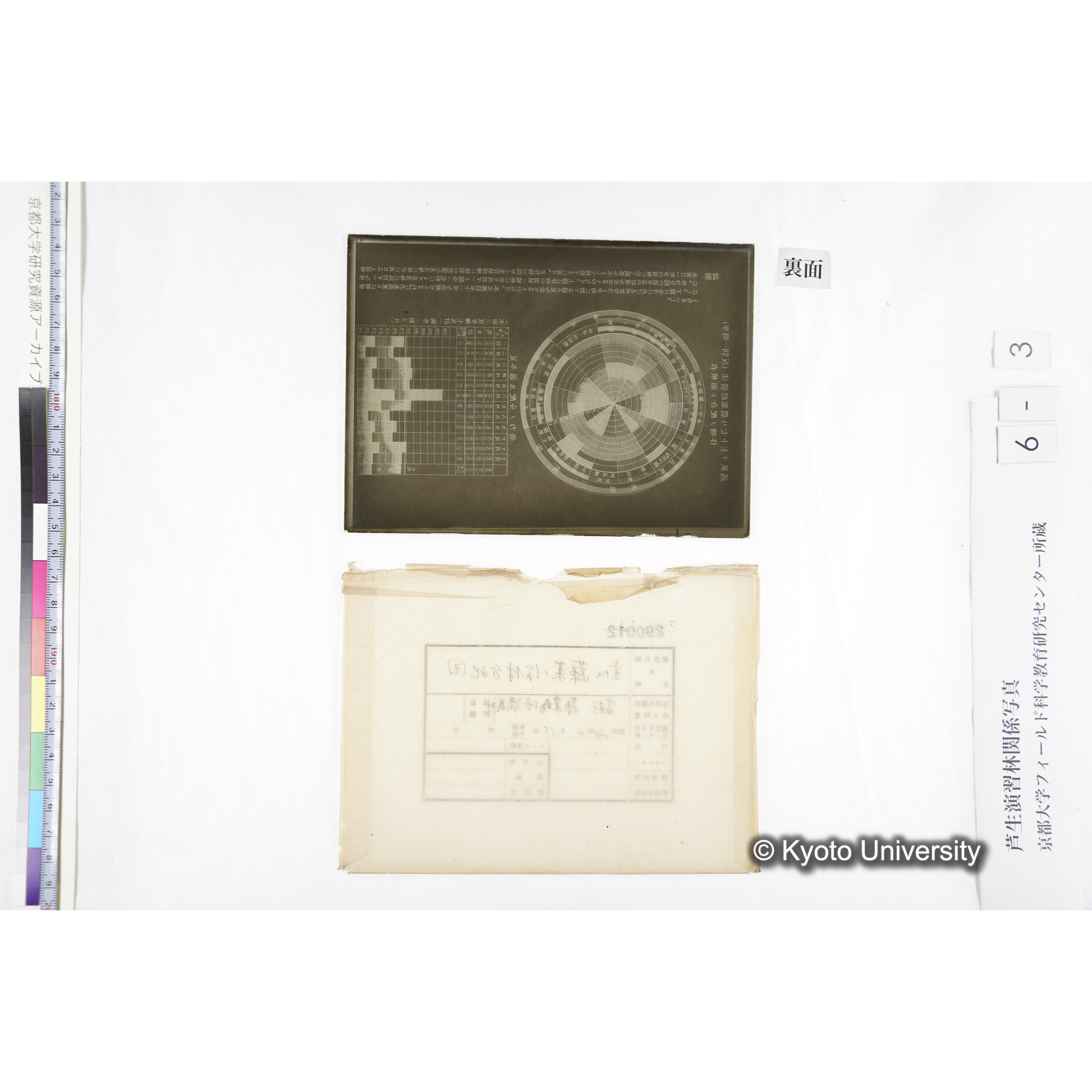 主ナル蔬菜ノ作付分配図／冨樫 蔬菜栽培講義■主ナル蔬菜ノ作付季節表／冨樫 蔬菜栽培講義■　〔表上「蔬菜ヲ主トセル農業経営法（反別一町歩）／作物ノ配合ト面積表」・表下「労力ノ分配及過不足」〕〕 (2)