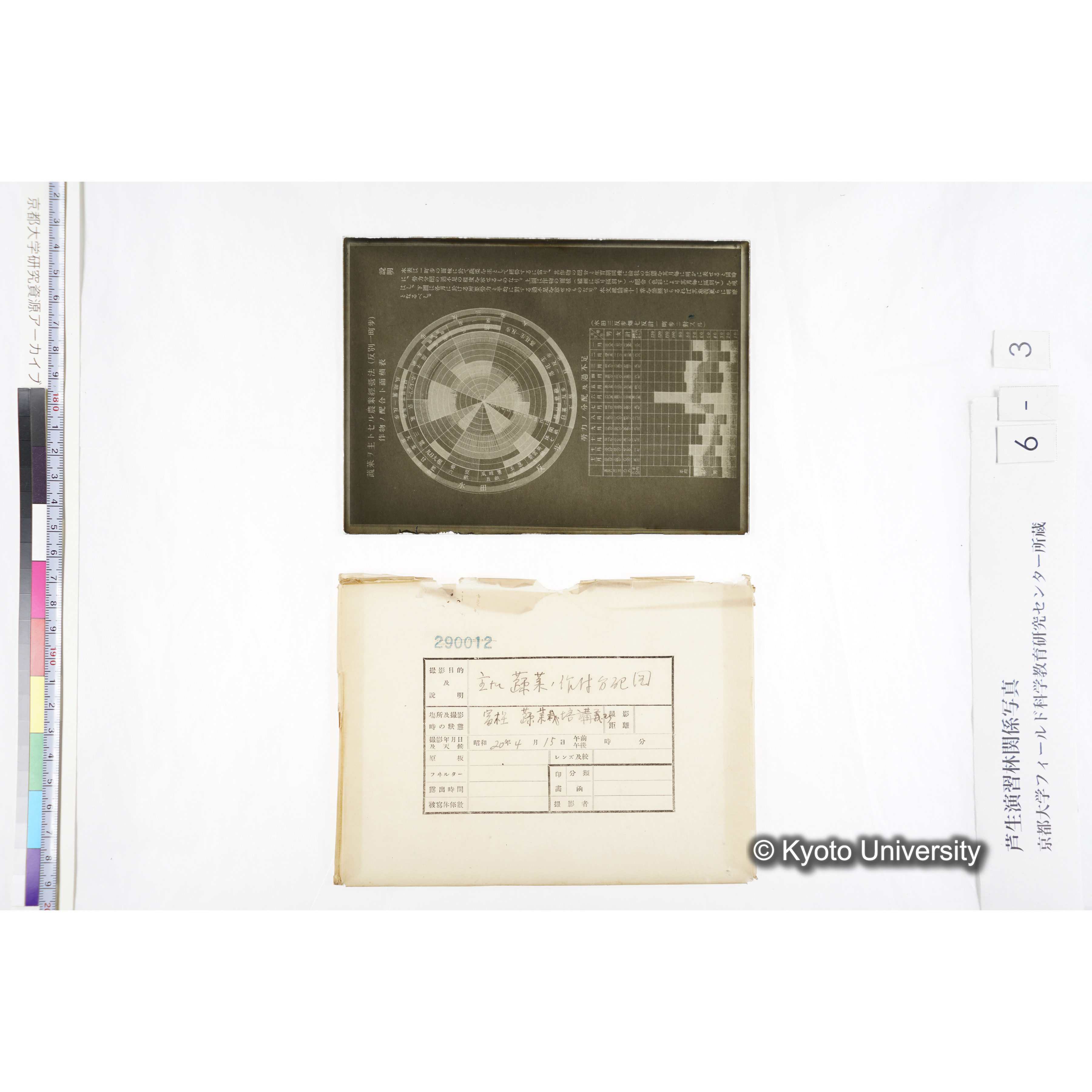 主ナル蔬菜ノ作付分配図／冨樫 蔬菜栽培講義■主ナル蔬菜ノ作付季節表／冨樫 蔬菜栽培講義■　〔表上「蔬菜ヲ主トセル農業経営法（反別一町歩）／作物ノ配合ト面積表」・表下「労力ノ分配及過不足」〕〕 (4)