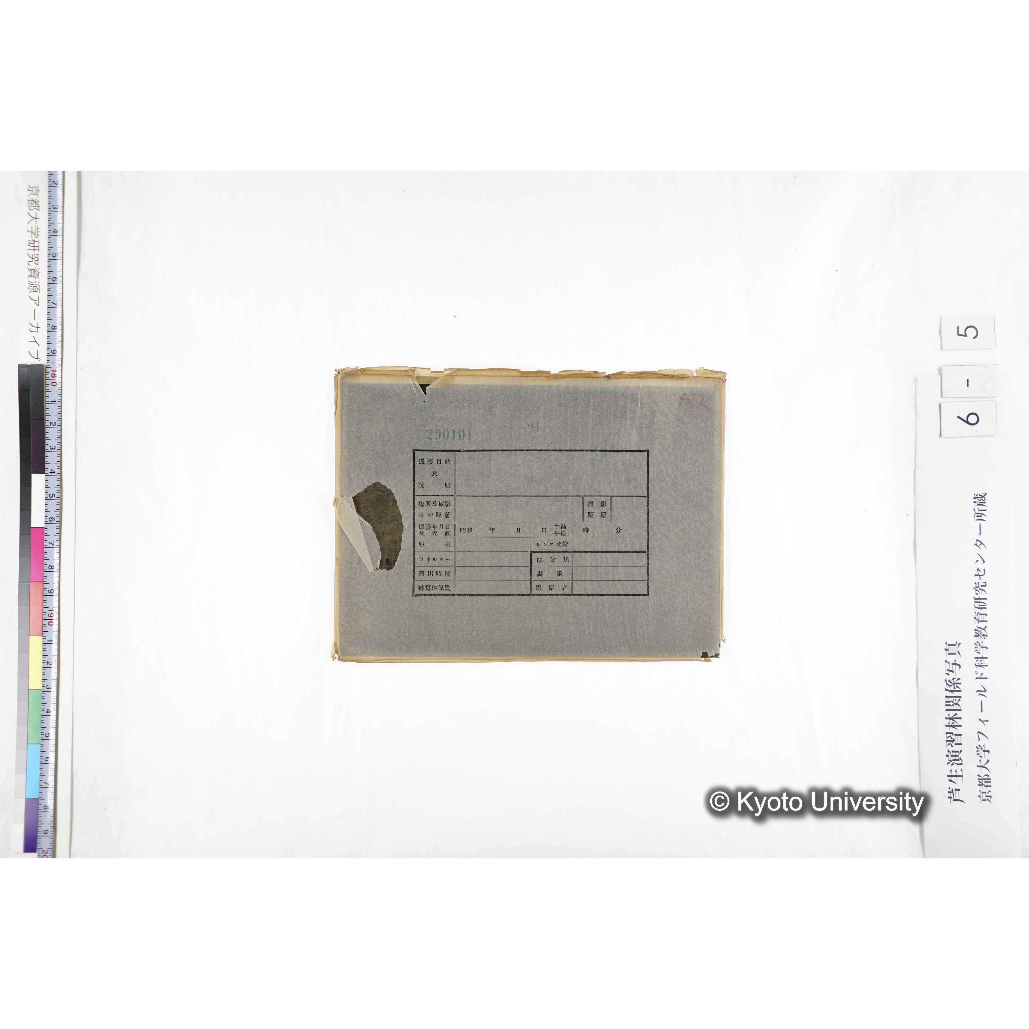 （ガラス乾板芦生柴田4-005） (3)